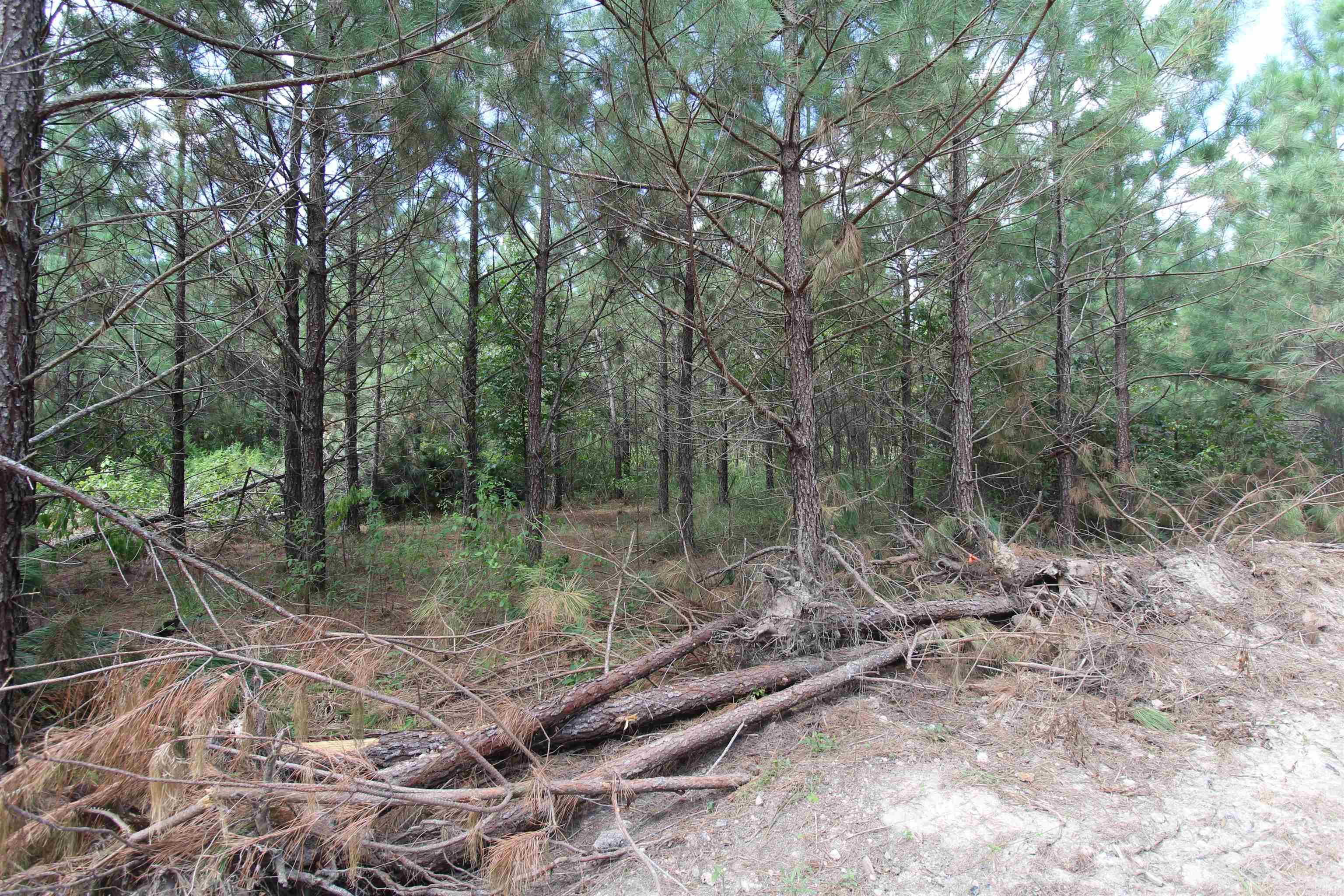 Metes & Bounds - Land