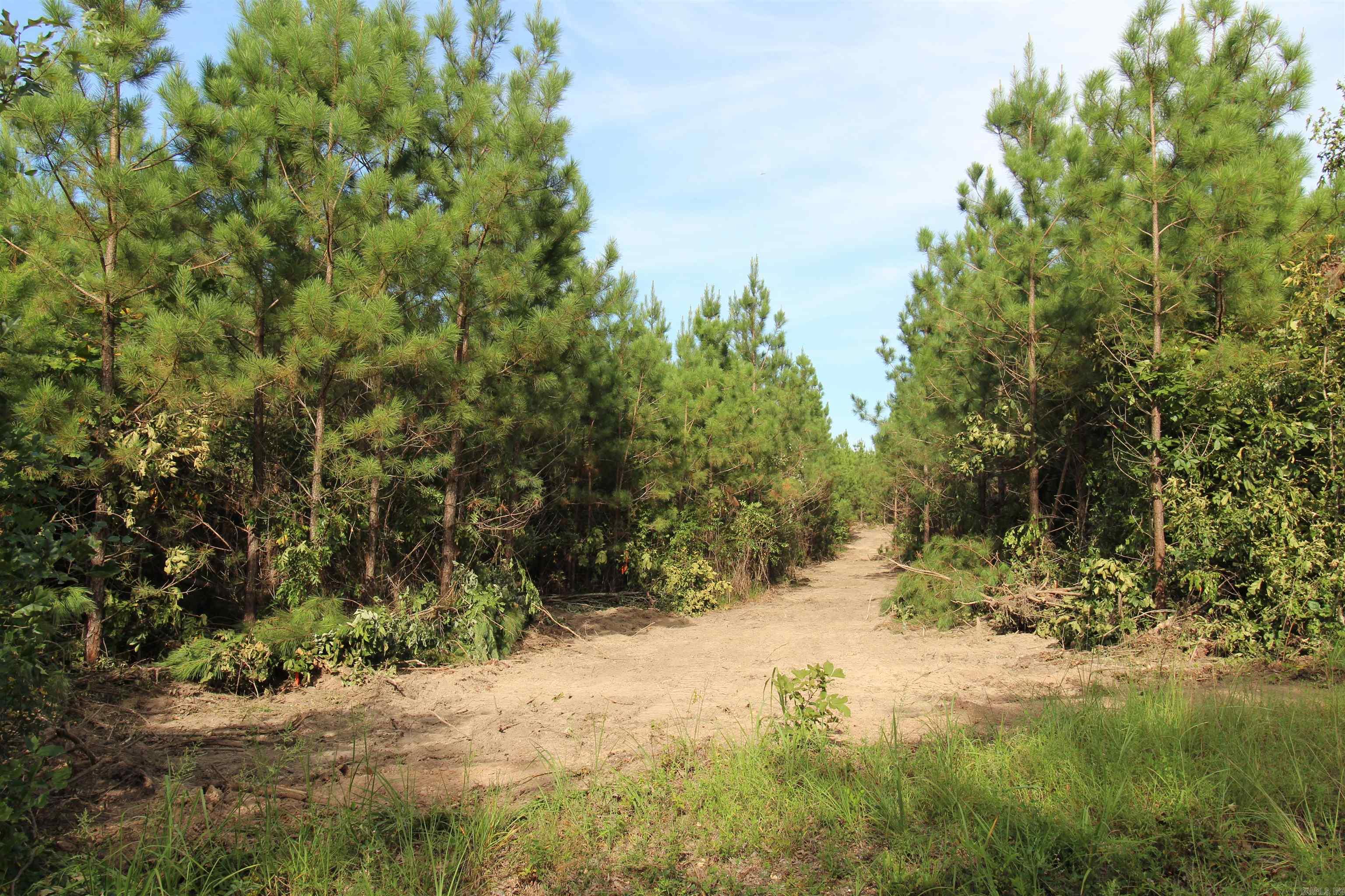 Metes & Bounds - Land