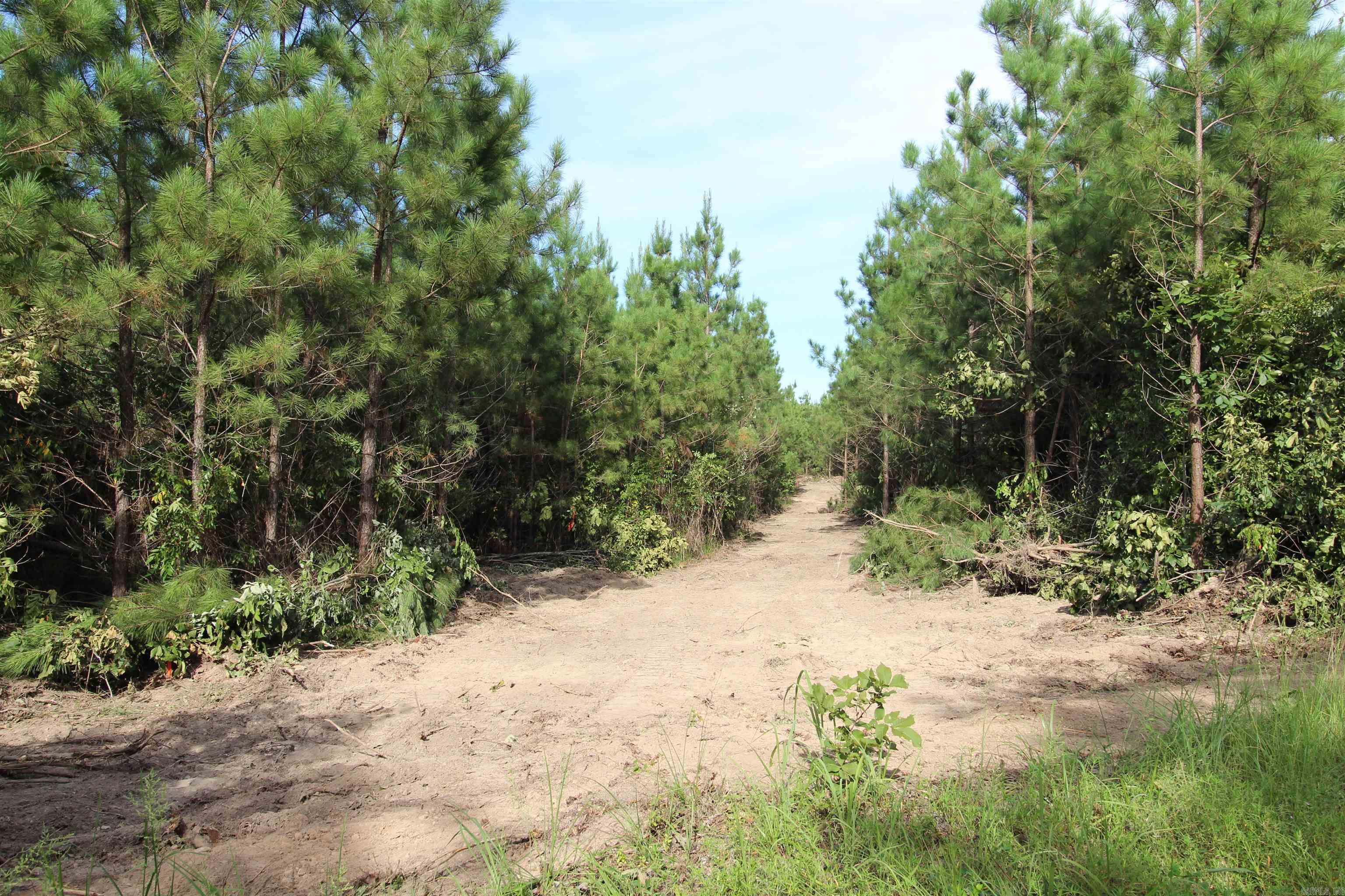 Metes & Bounds - Land