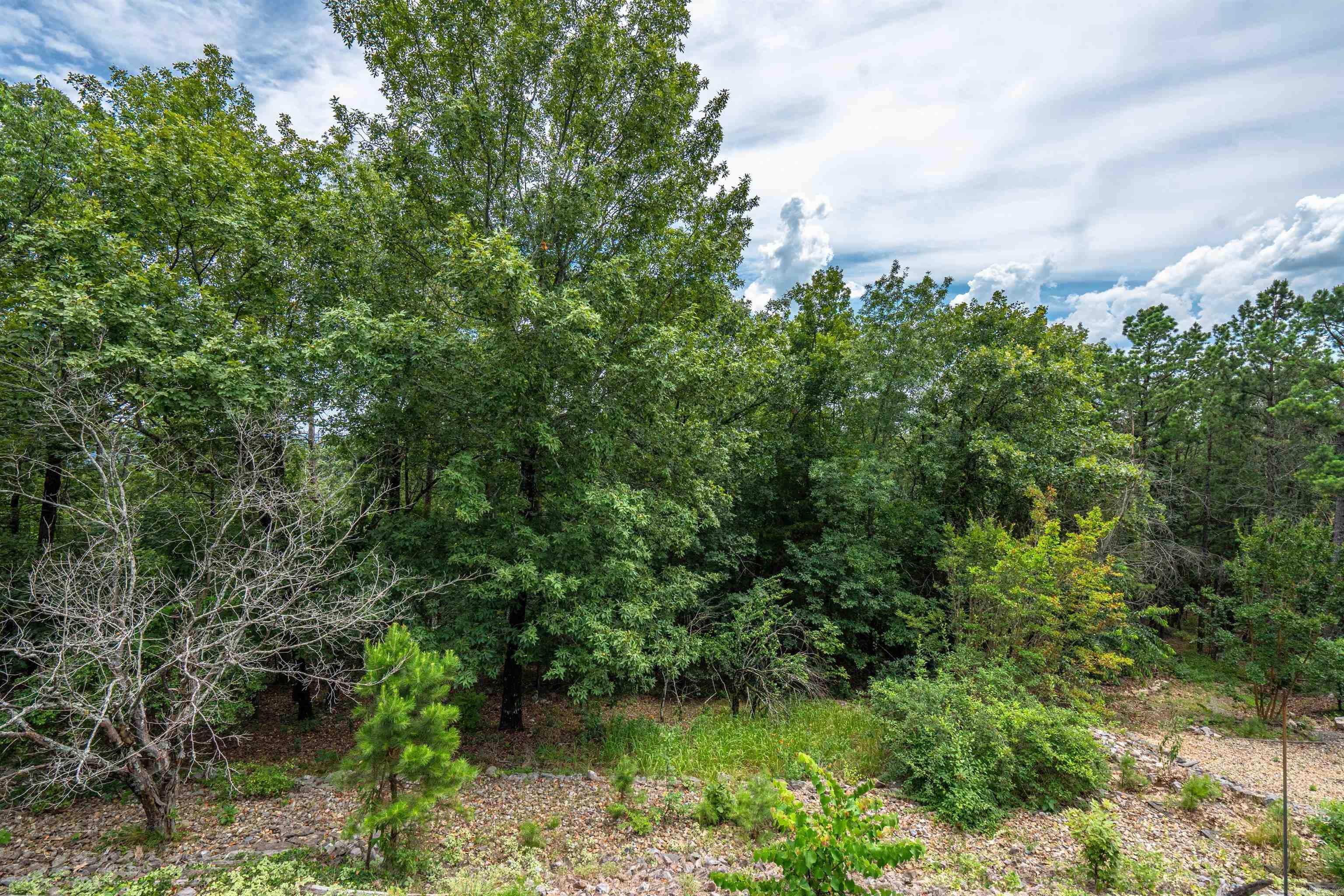 PALISANDRO - Residential