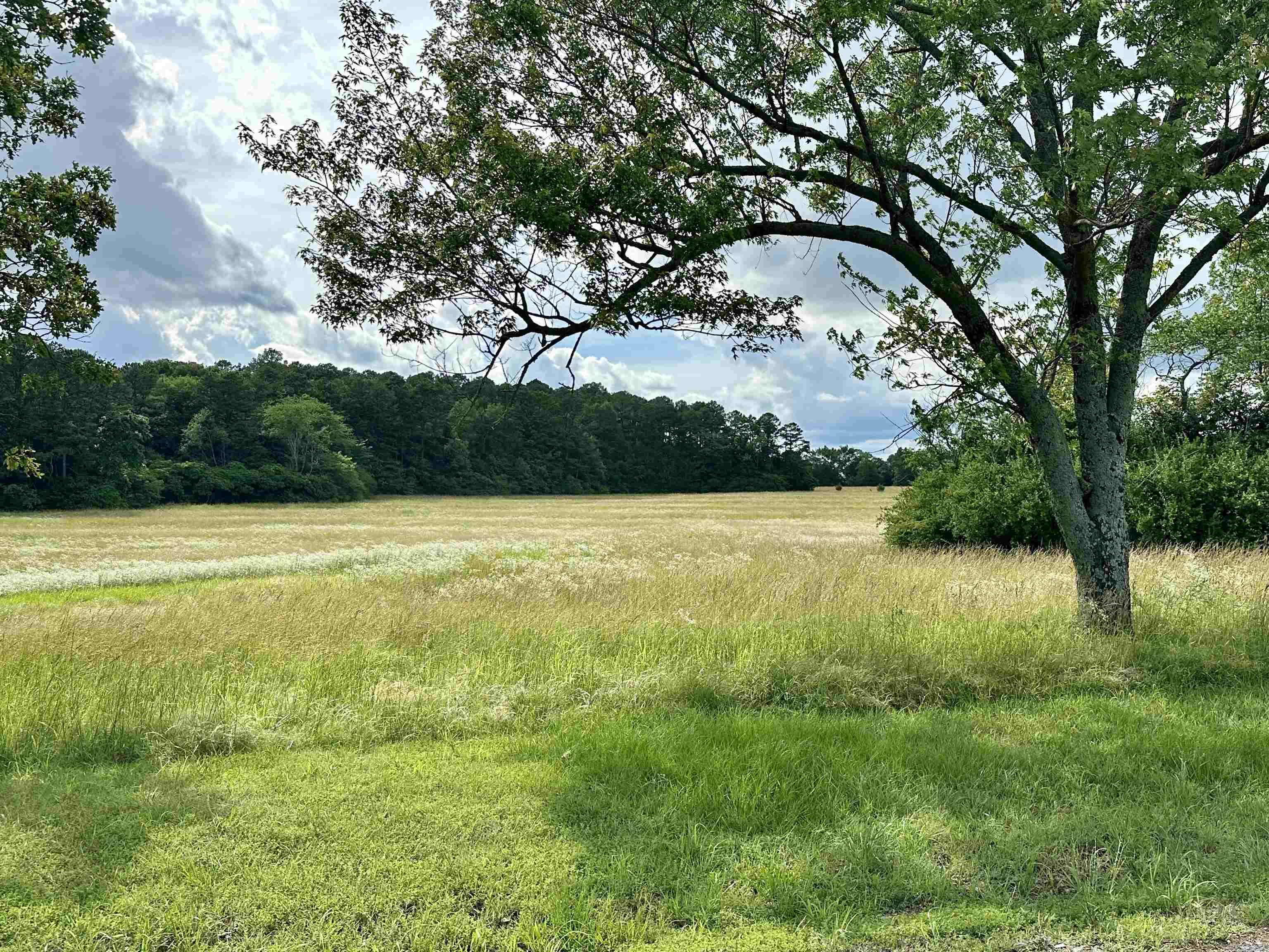 16-08-19 - Land