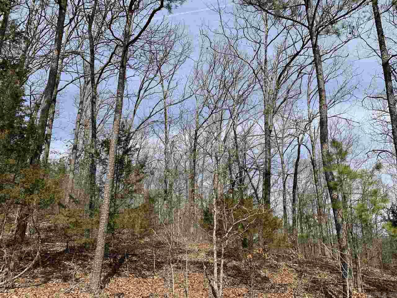 Great Lot in a desirable neighborhood for building a nice home! Super quiet area. Watersedge is very close to the town of Greers Ferry and Fairfield Bay . Close to ATV, hiking, and mountain biking trails. The Little Red River is minutes away!