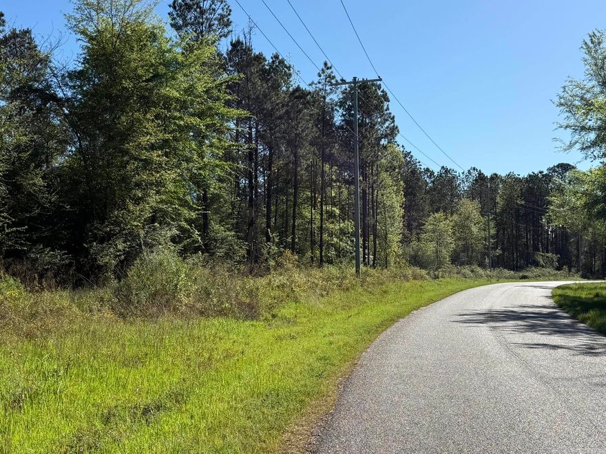 Looking for the perfect location to build your dream home or weekend retreat, this property offers approximately 20 acres boarding the city limits of Murfreesboro, the privacy of rural living with city conveniences. This timber property has been selectively thinned, allowing seclusion with open spaces to build your forever home, cabin or weekend getaway.  Utilities are available at the paved road.  You are minutes from the hustle and bustle of downtown Murfreesboro, the historic Kadoha Indian Village, the Crater of Diamond State Park, the Little Missouri River and the beautiful recreational Lake Greeson.   This property can be subdivided in to two 10 acre tracts.