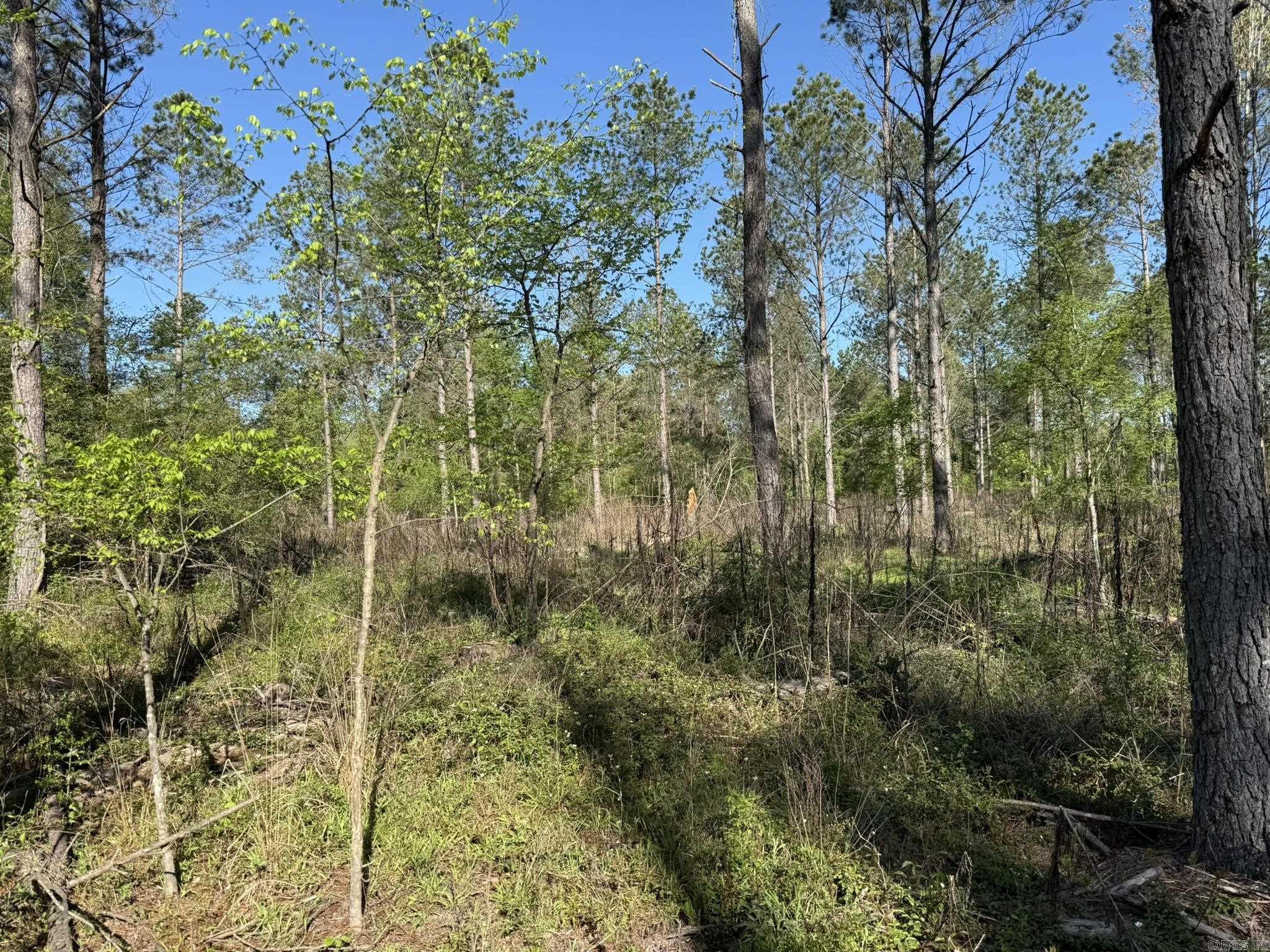 Metes & Bounds - Land