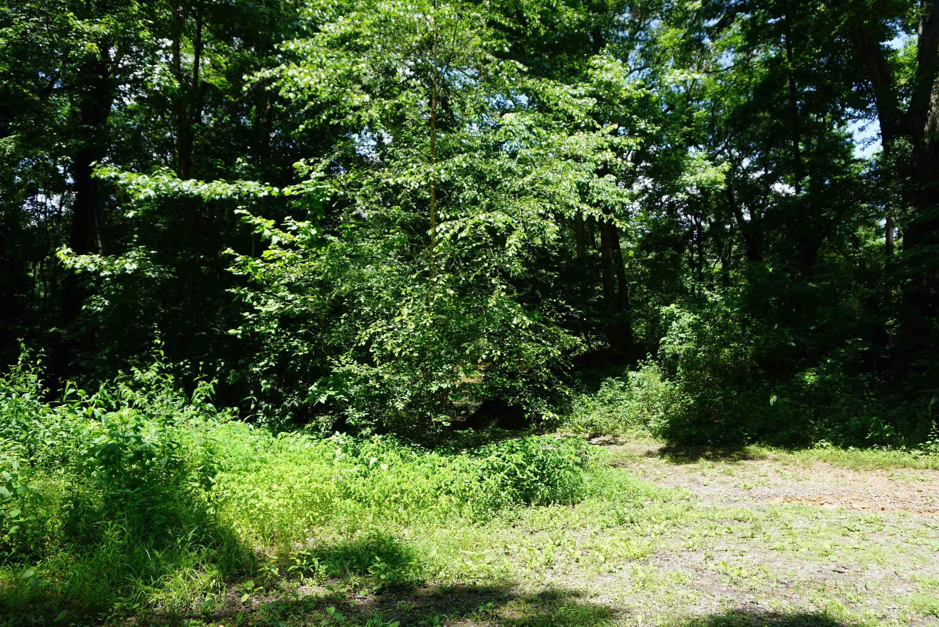 Red River Shores - Land