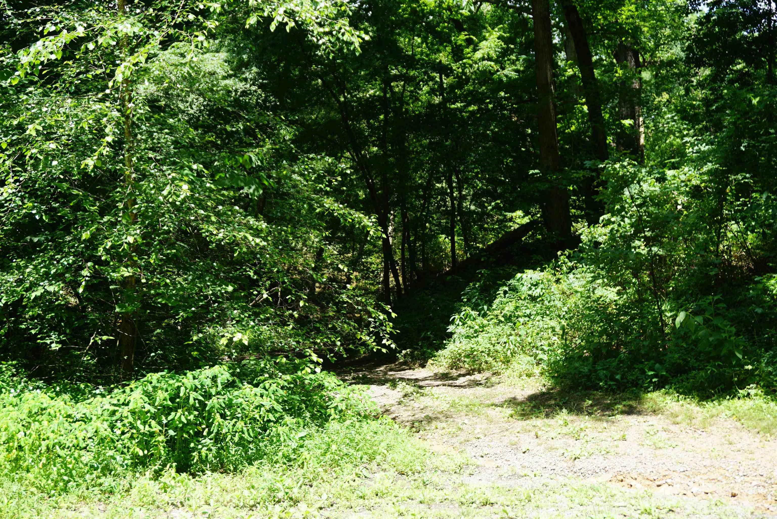 Red River Shores - Land