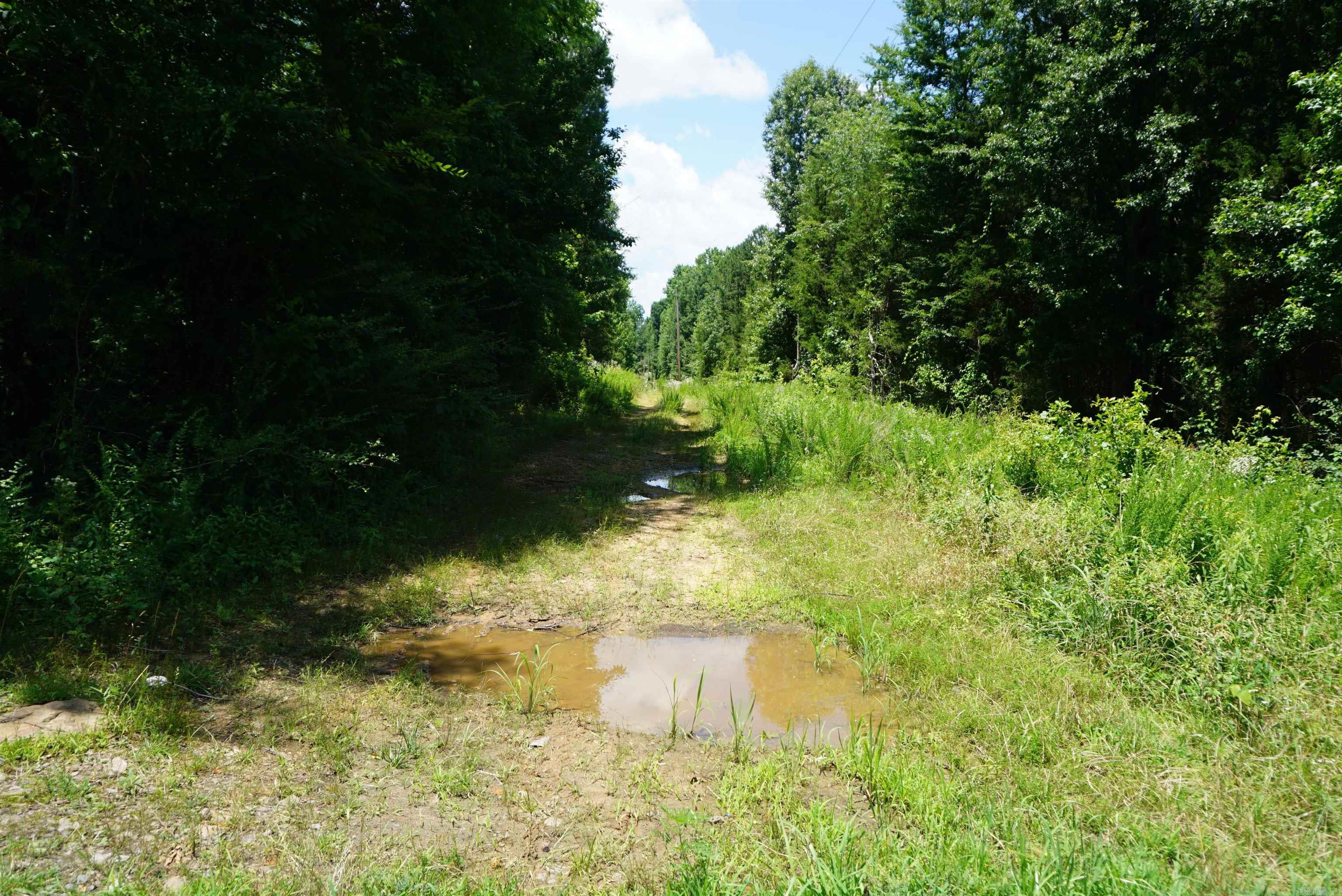 Red River Shores - Land