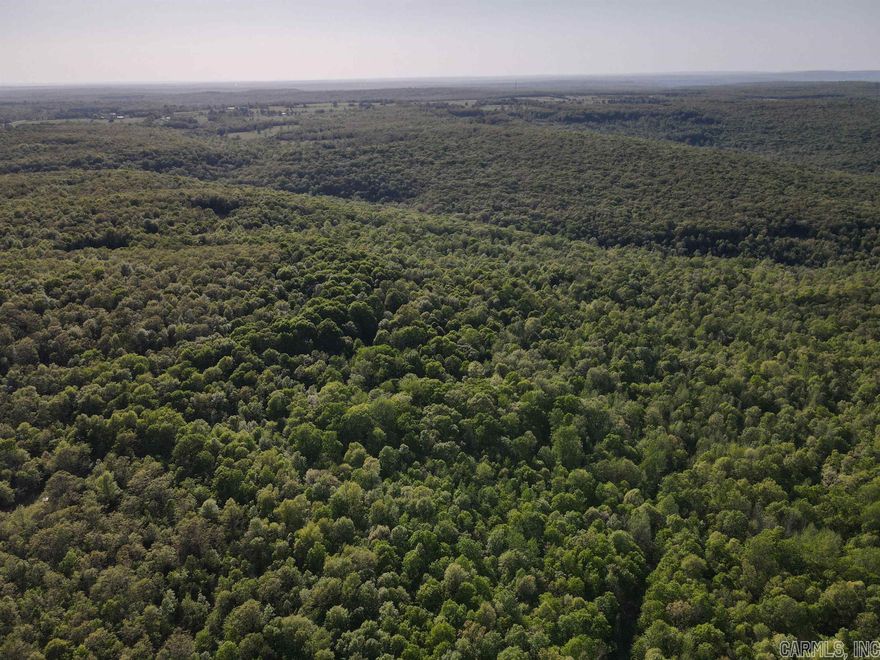 Here's the Ozark Mountain escape you've been looking for. This property has beautiful vista views of the White River Valley below. Large stands of hardwood timber with strategically placed atv/ utv trails, food plots, wildlife ponds, and good cover that allows for a large population of wildlife. There are abundant deer, wild turkey, small game, and even bear for the hunter! Miles of trails and right of ways make for the perfect property for trail riding in your atv or utv. Blue Creek along with other wet weather creeks run through the property adding to both the beautiful landscape and are great for the wildlife too! One of the best attributes of this property are the large neighboring landowners. There are large, contiguous tracts to the north, east, and south adding to the wildlife holding capacity of this property and increasing the hunting opportunities for trophy wildlife. And, most importantly, this property is priced to sell!