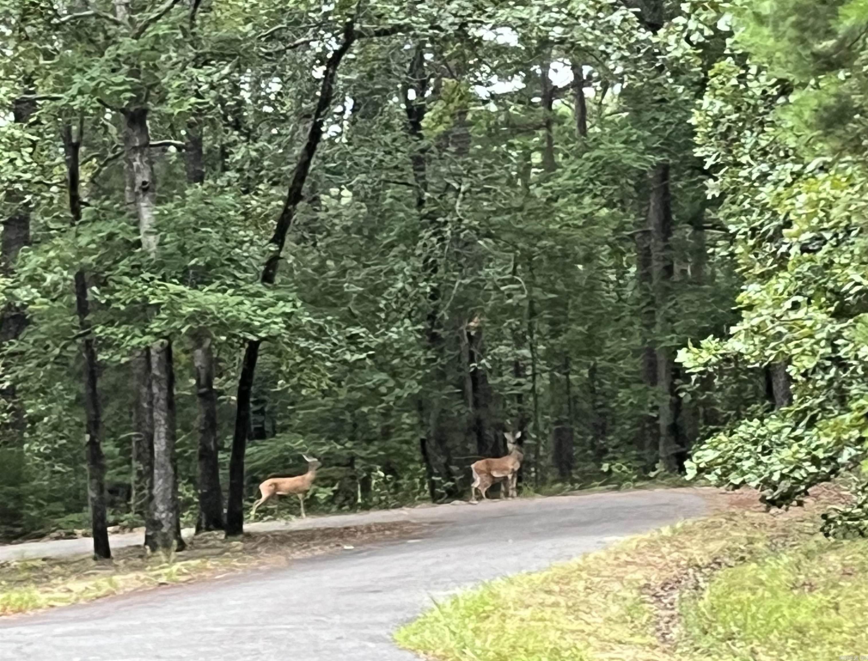 Wildlife out your back door! Very nice, level lot in Cul-de sac, private and wooded. Come experience" Village" life in our beautiful Hot Springs Village, the largest gated community in North America, with 11 lakes, 9 professionally designed, year-round golf courses, walking, hiking and biking trails. Come experience paradise and Live the Life you Love! First time buyers are subject to one time buy in fee of $300.00 to be paid at closing.