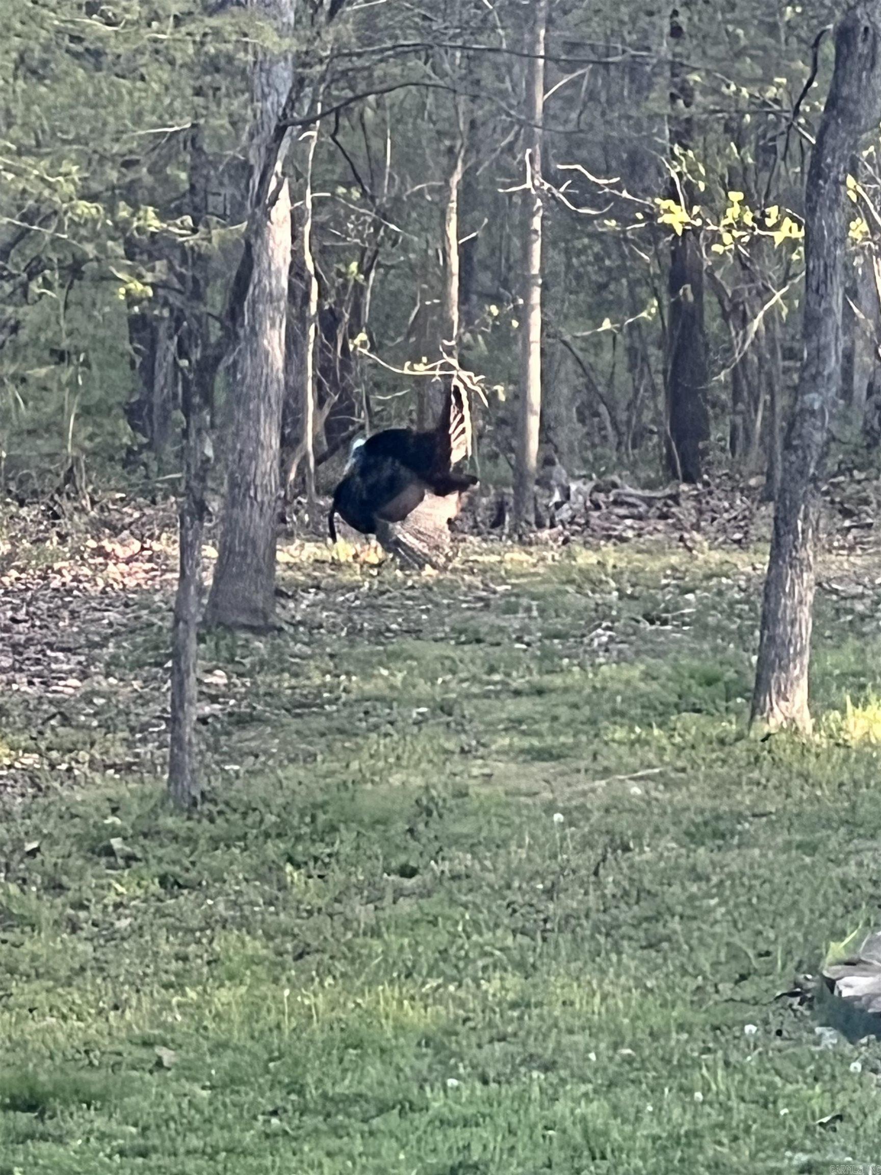 Vaughns - Residential