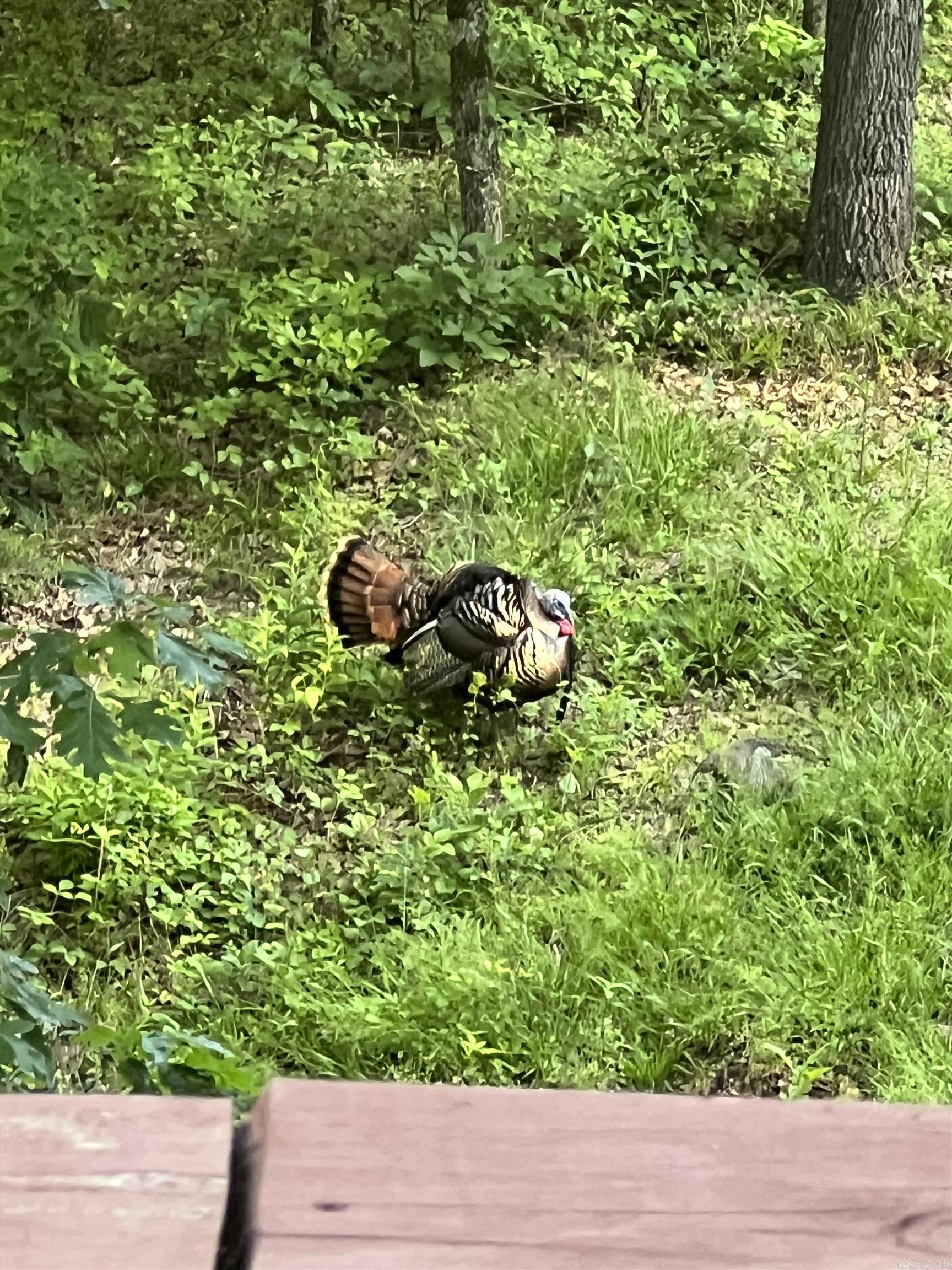 Vaughns - Residential