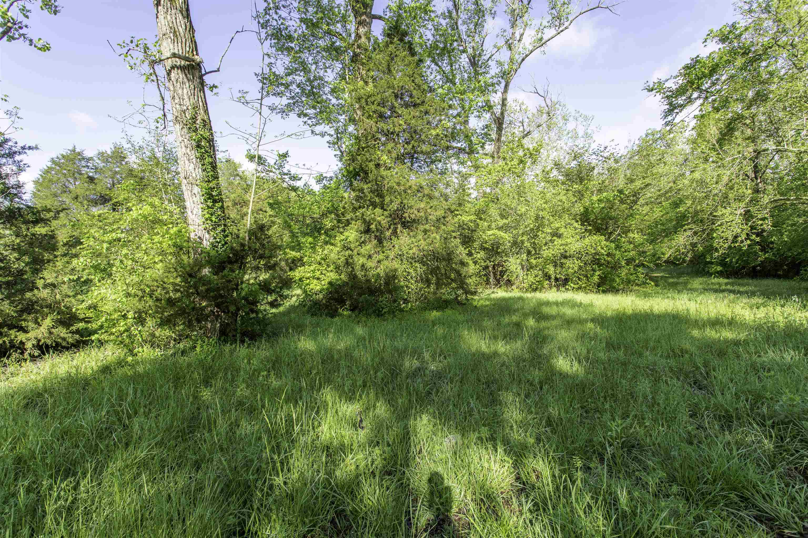 RAVENDEN UNPL - Land