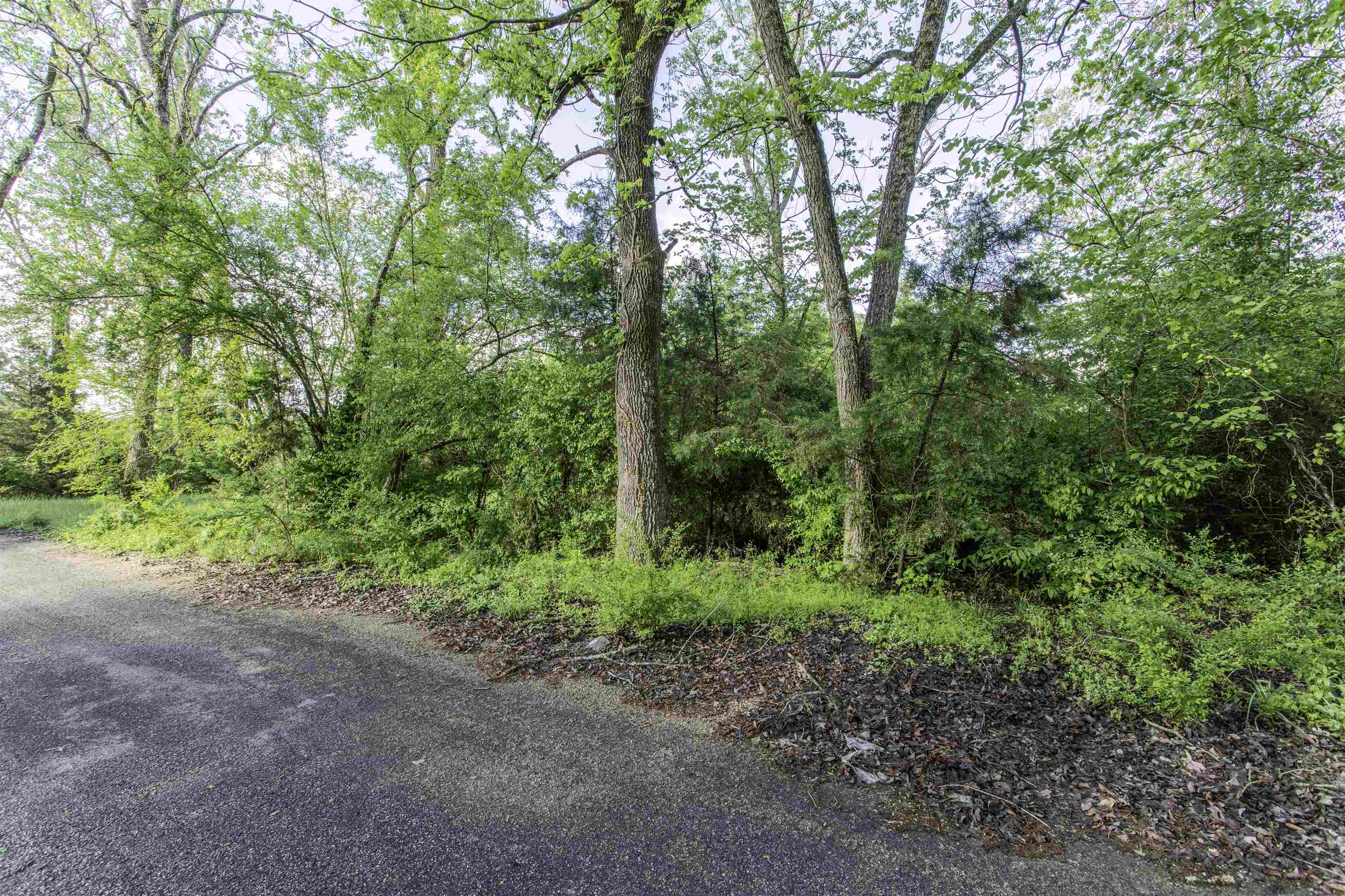 RAVENDEN UNPL - Land