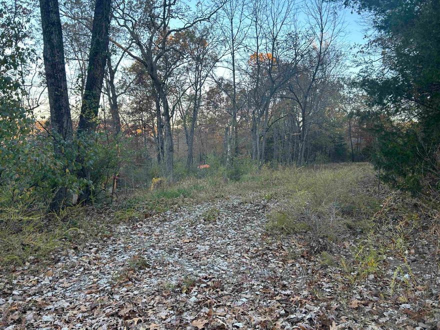 Wooded 1.08 acres m/l adjacent to Hicks Creek with beautiful views.