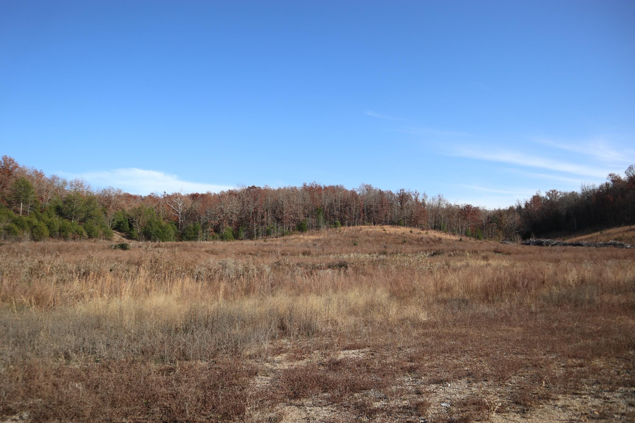 US HWY FRONTAGE PROPERTY FOR SALE NEAR SALEM AR -Â 11 acres located on highway 62 near Salem. This property is mostly open with frontage along a major highway. Great location for a business. It has a small seasonal creek running through the property. It would also has several building sites for a home or cabin. It would also be ideal for a small hobby farm. It has electricity on site and rural water is available.
