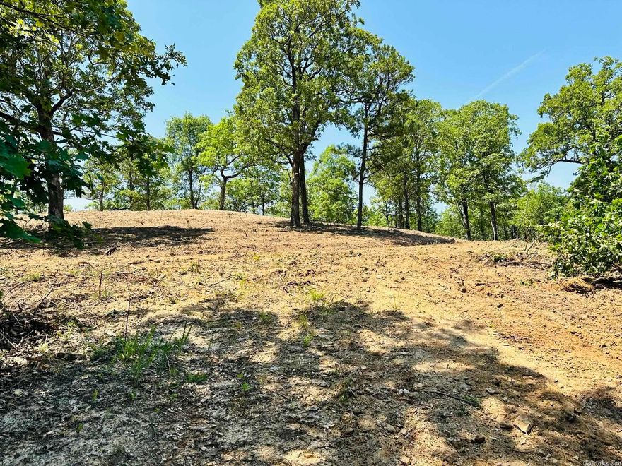 Situated along a paved county road, this 11 ½ acre property presents an ideal opportunity for those seeking a serene retreat. This wooded parcel is conveniently located only 2 minutes away from the Jordan marina and boat launch, granting access to Norfork Lake, while enjoying the seclusion outside city limits. Whether you prefer to sit and admire the view, engage in water sports, or cast your fishing line into the depths, the surrounding amenities offer endless opportunities for enjoyment and tranquility.  Beyond its recreational allure, this property also holds significant appeal for hunting enthusiasts, with its close proximity to abundant wildlife. Additionally, it offers beautiful mountain views. There is even the convenience of electricity onsite.  Overall, this acreage offers an enticing combination of natural beauty, recreational opportunities, and the potential for building your dream retreat. Don't miss out on the chance to make this exceptional piece of land your own and embrace a lifestyle of enjoyment, natural beauty, and cherished memories.