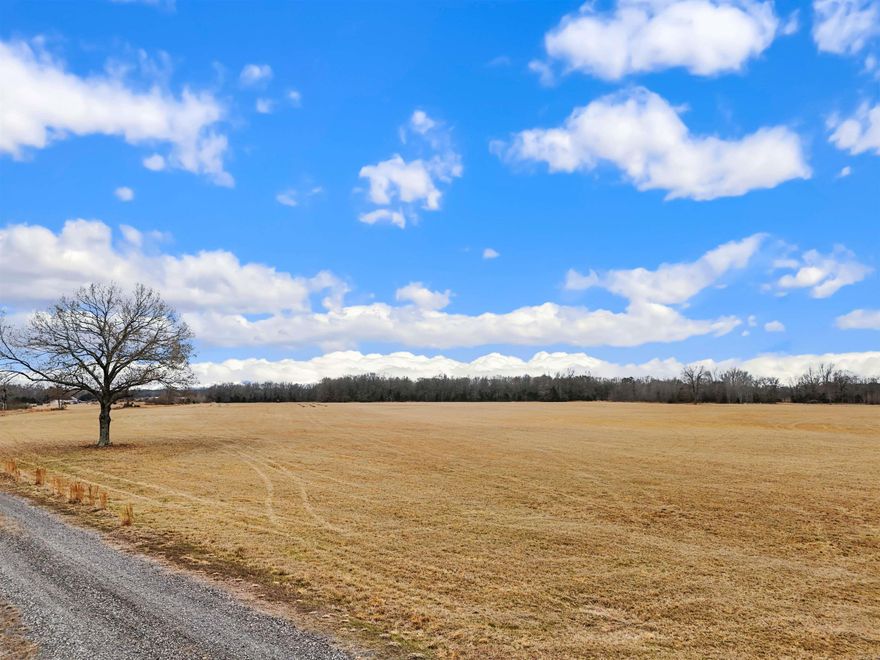 Looking for open space and endless possibilities? This 13.84 +/- acre tract of pastureland offers wide-open views, usable acreage. and the perfect setting for farming, livestock or your future dream home. Don't miss this opportunity to own a great piece of land- schedule a showing today! Zero Restrictions. Agents see remarks for showing information.