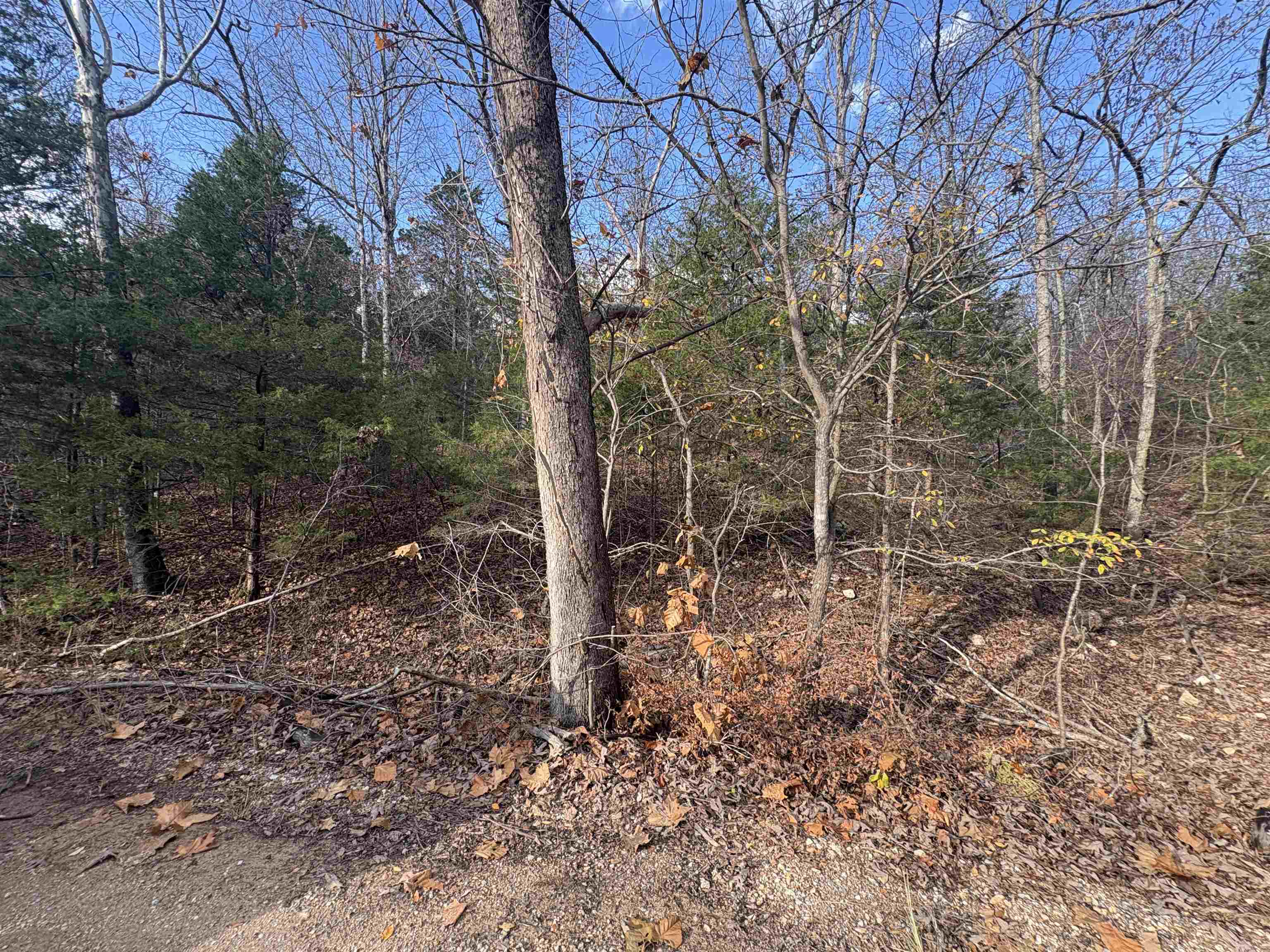 Not in Subdivision - Land