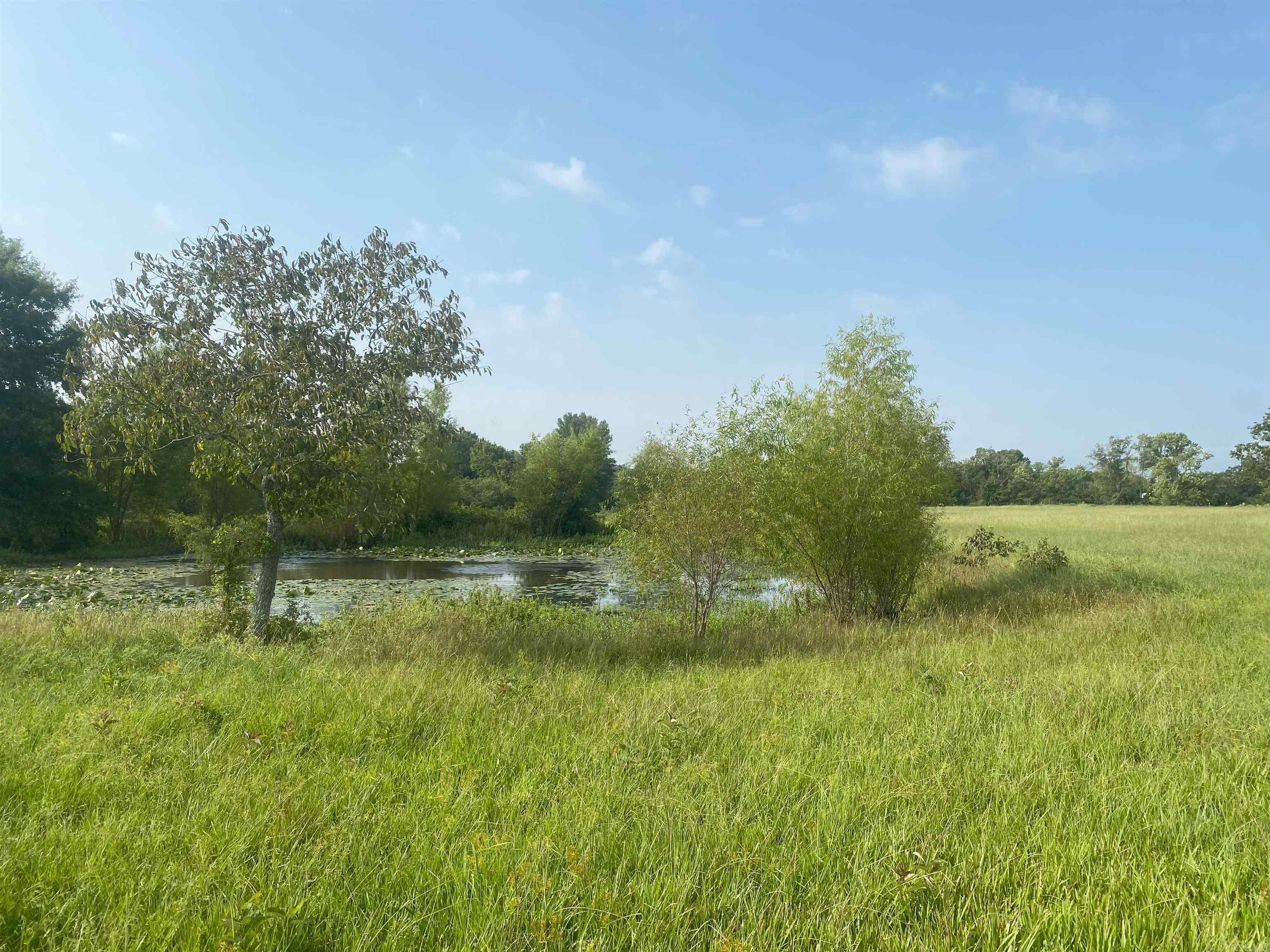 This amazing property is waiting on her next owner. Partially fenced, utilities near the lot lines, and ready. Mixed grass pastures, pond, and easy access to Conway and Greenbrier!