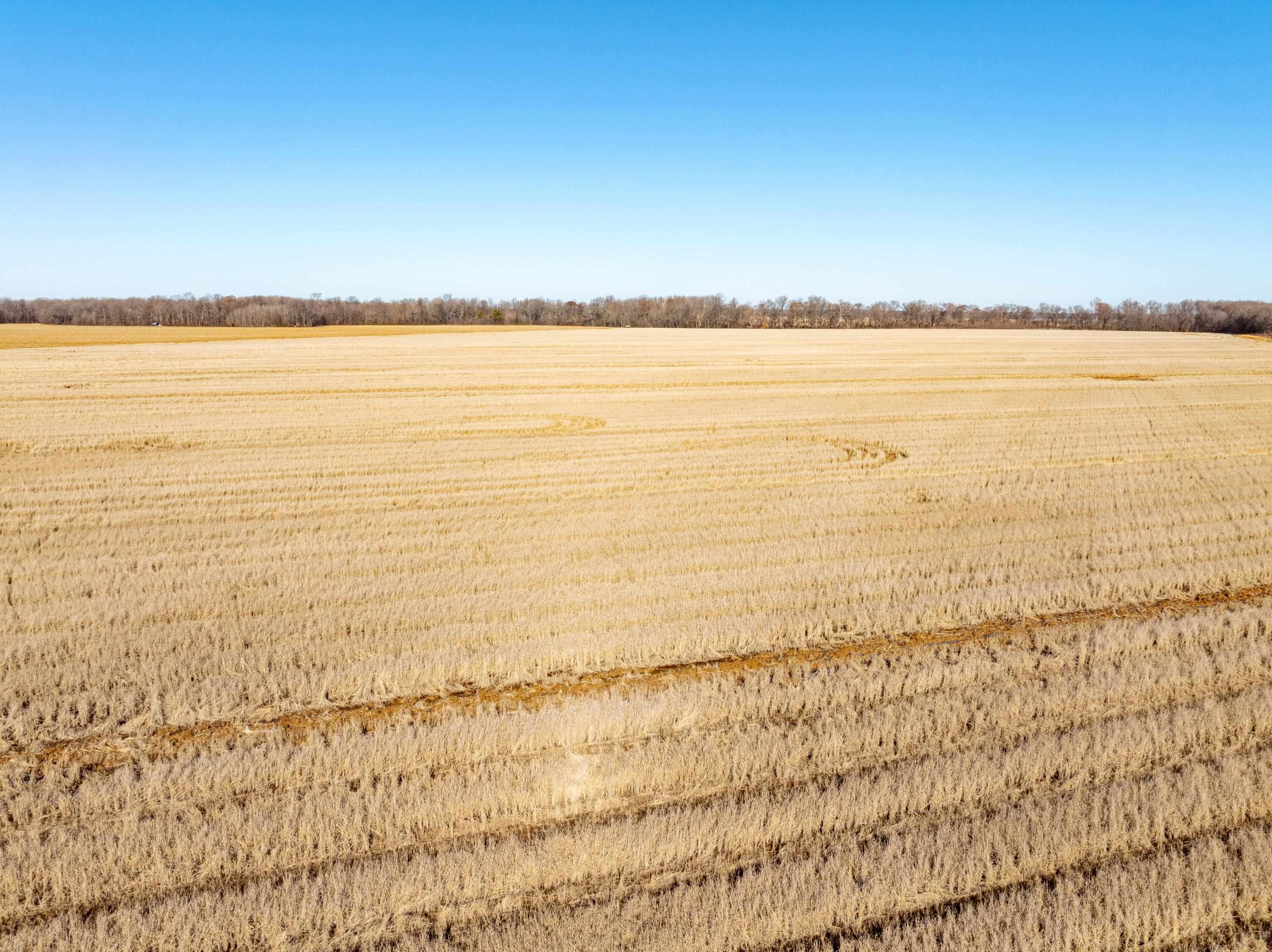 Metes & Bounds - Farm