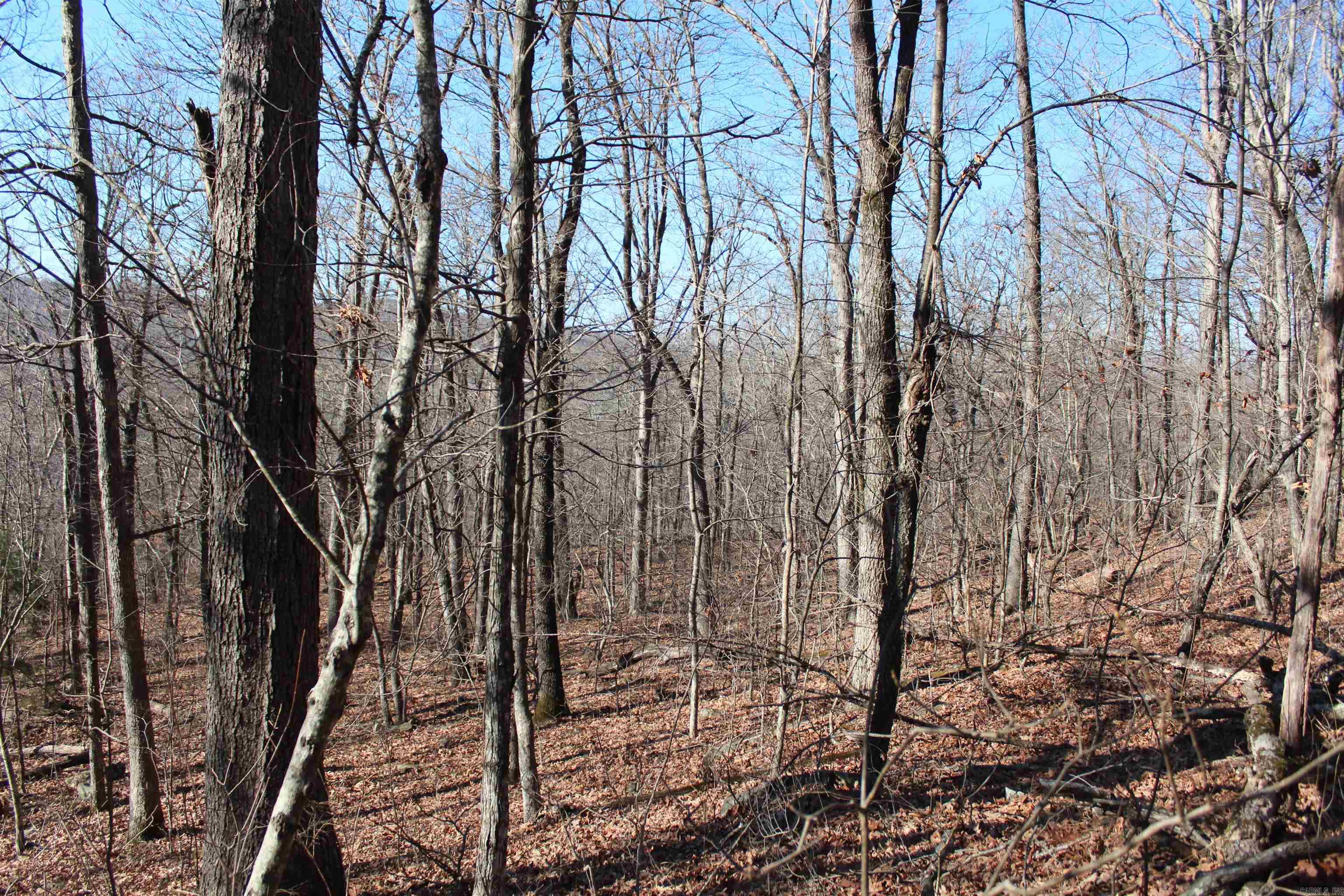 Not in Subdivision - Land