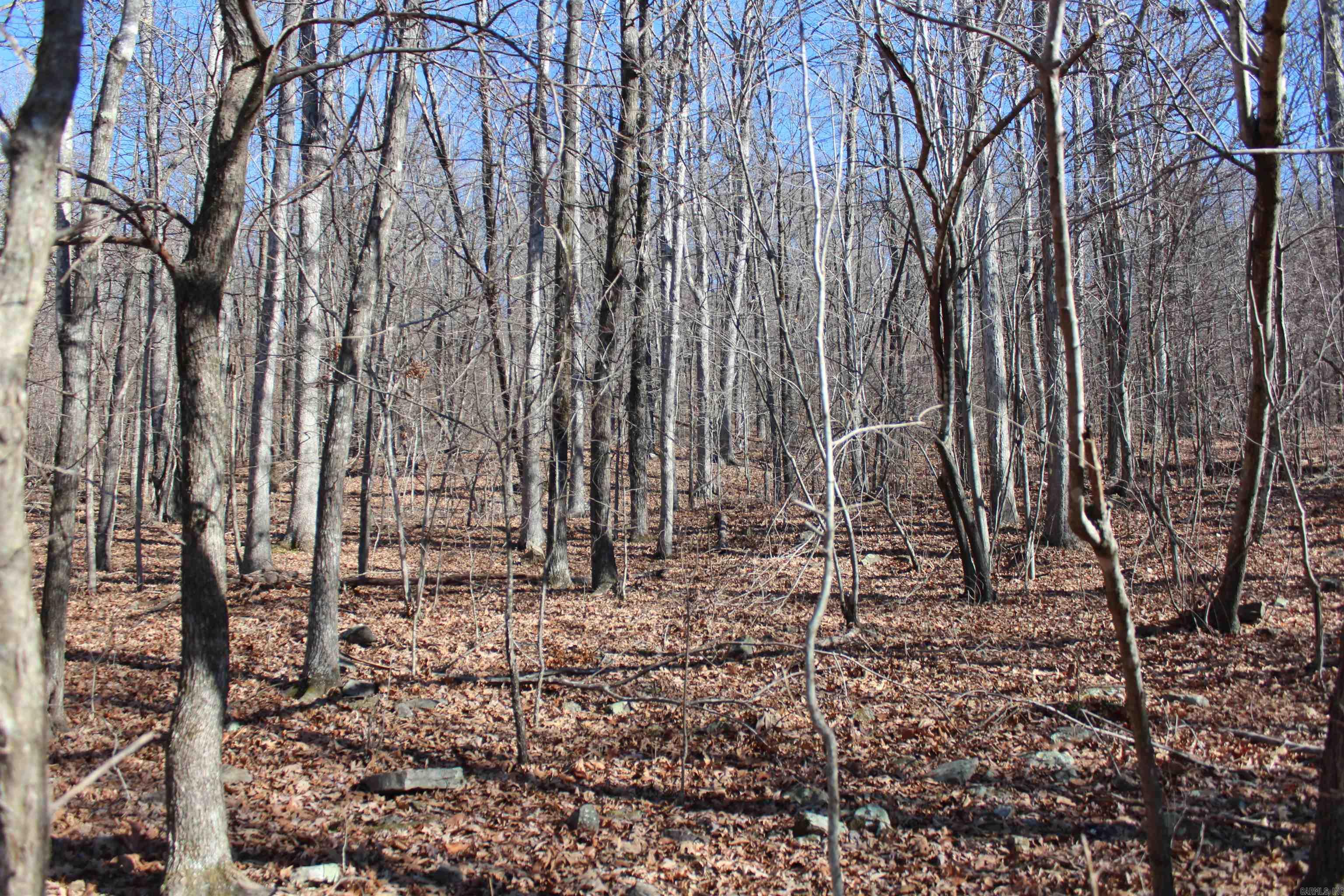 Not in Subdivision - Land