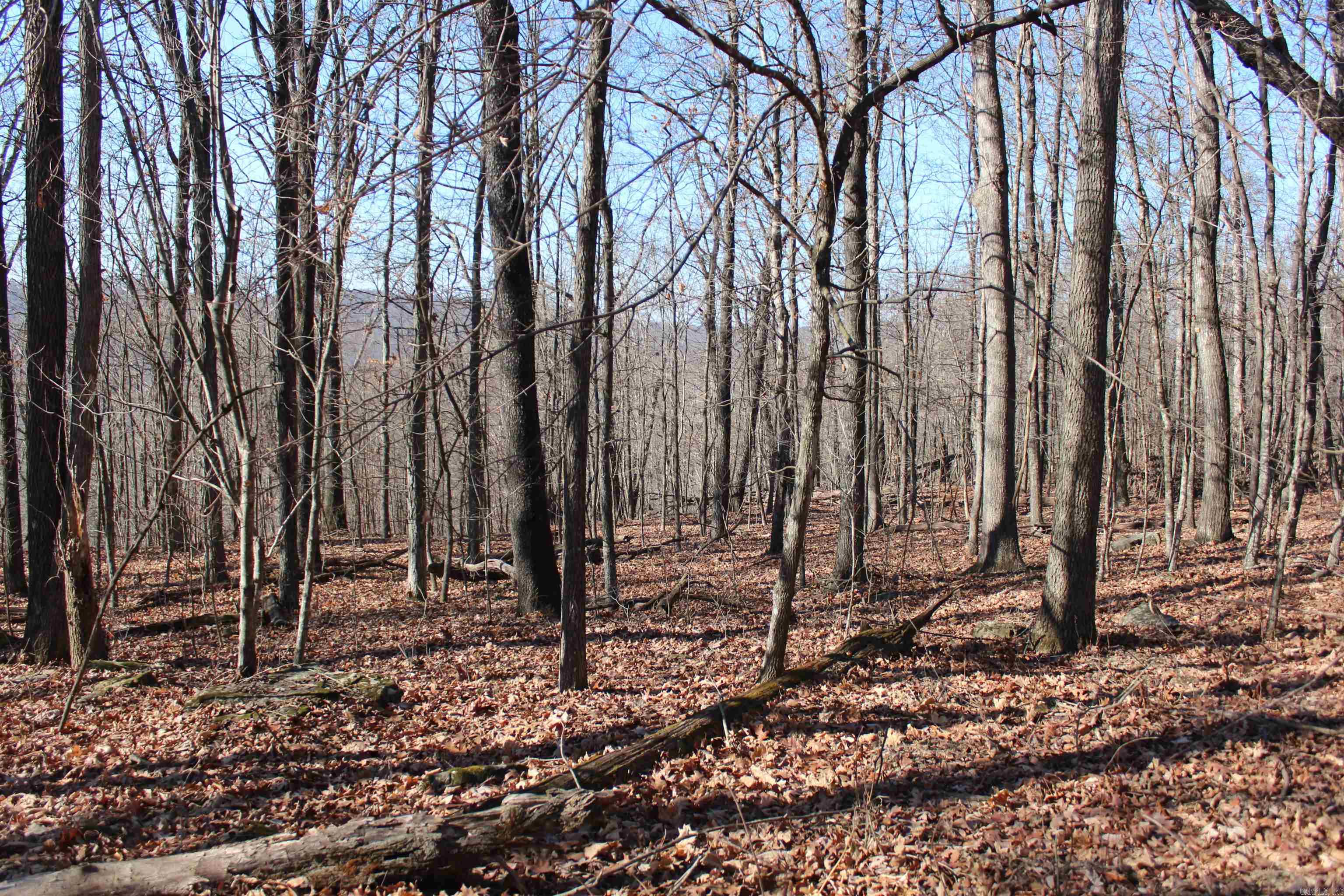 Not in Subdivision - Land