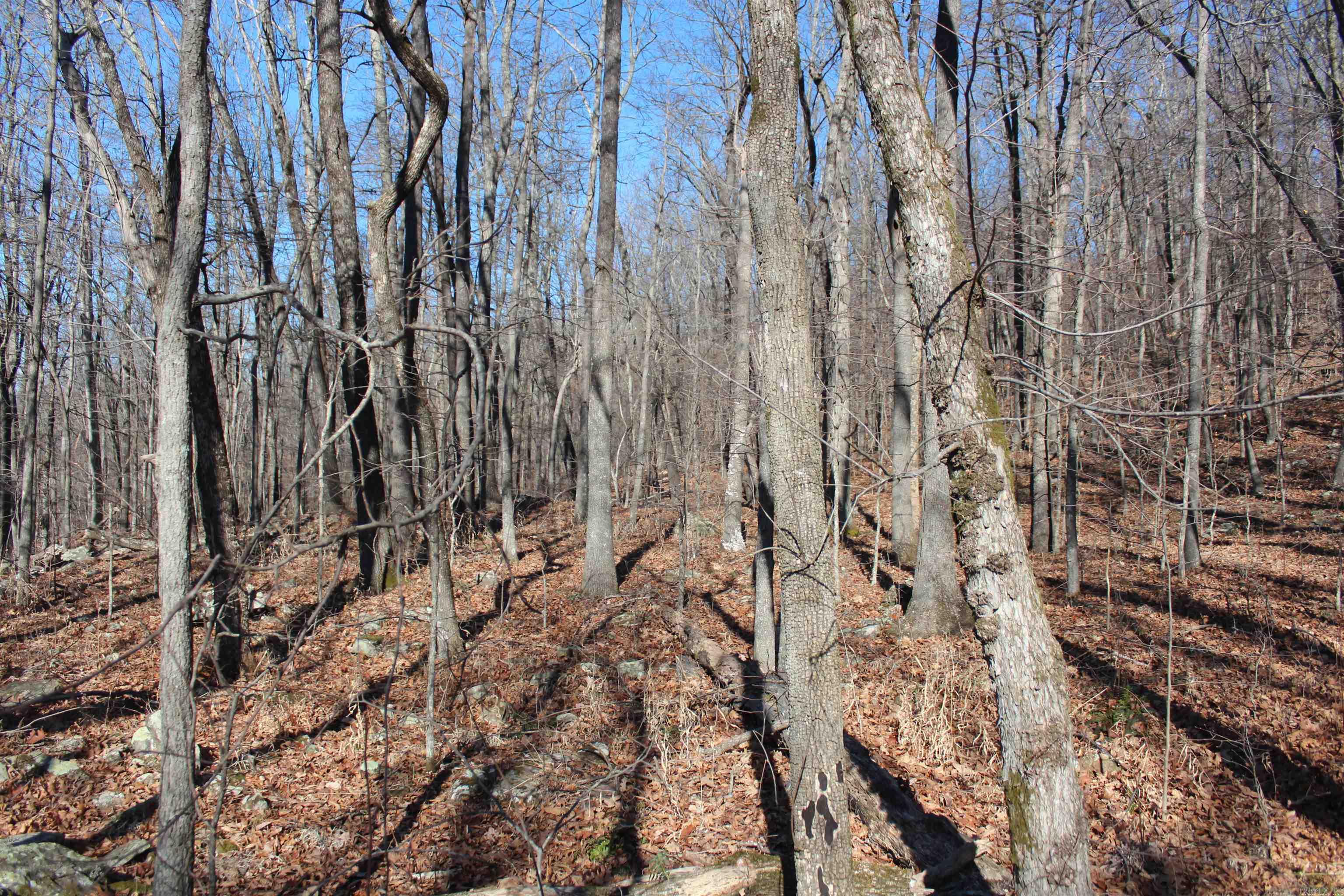 Not in Subdivision - Land