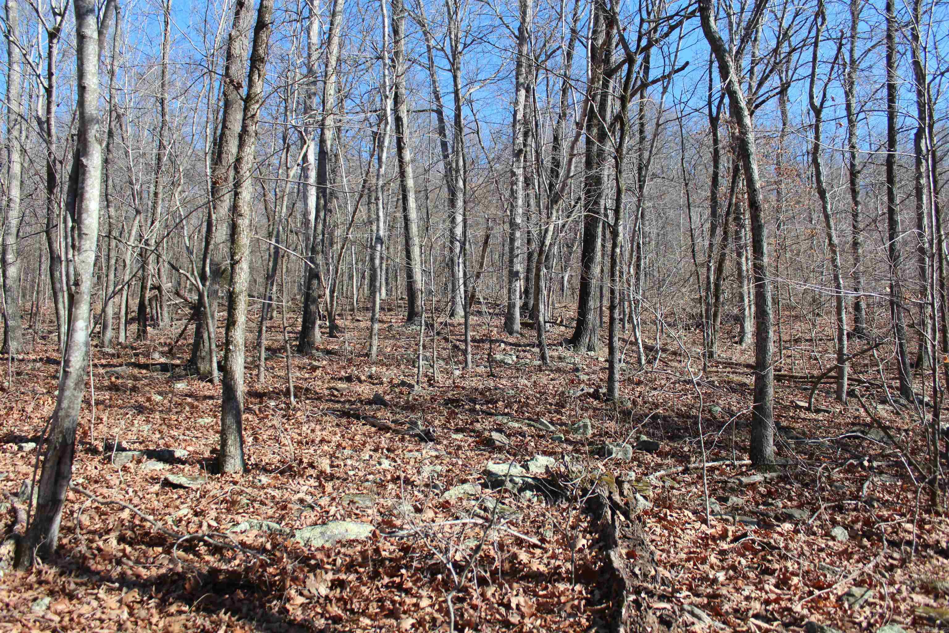 Not in Subdivision - Land