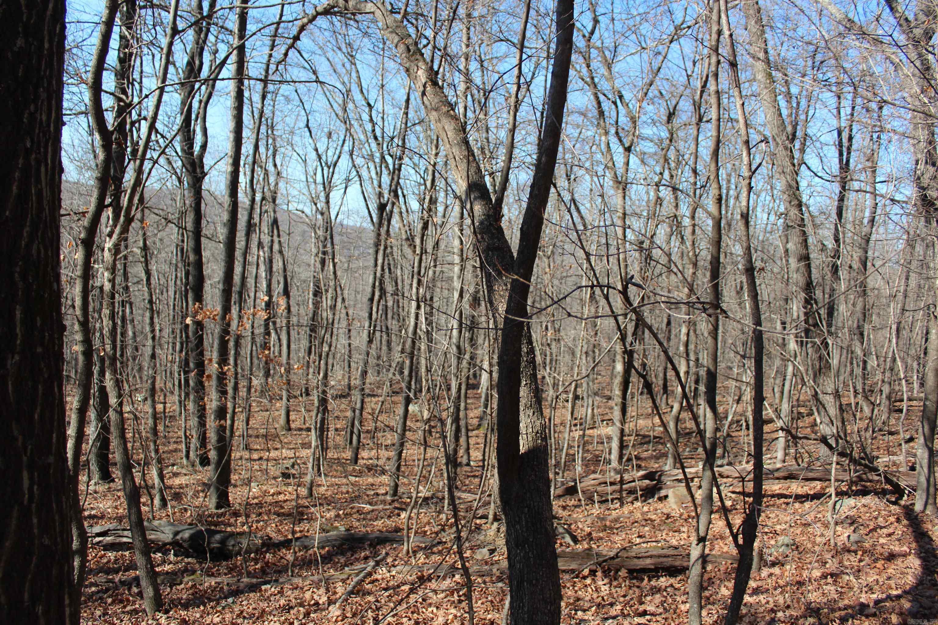 Not in Subdivision - Land