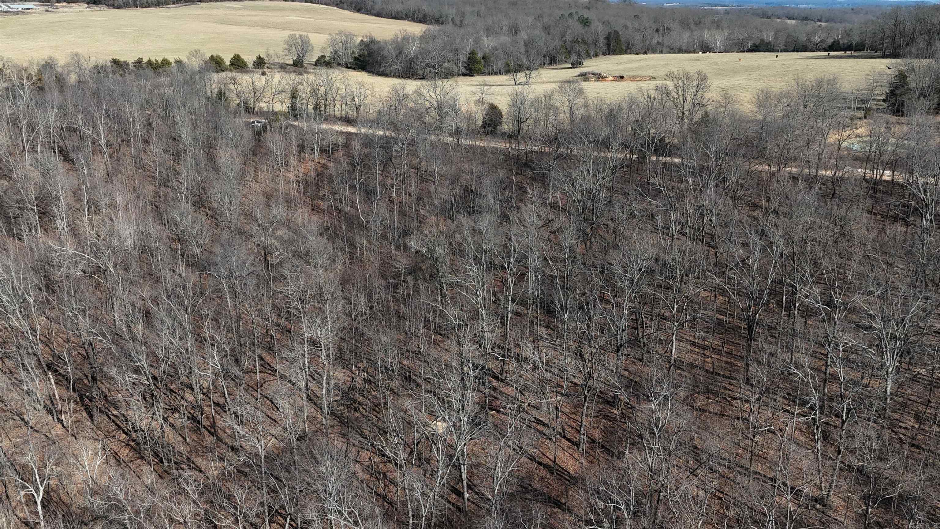 Not in Subdivision - Land