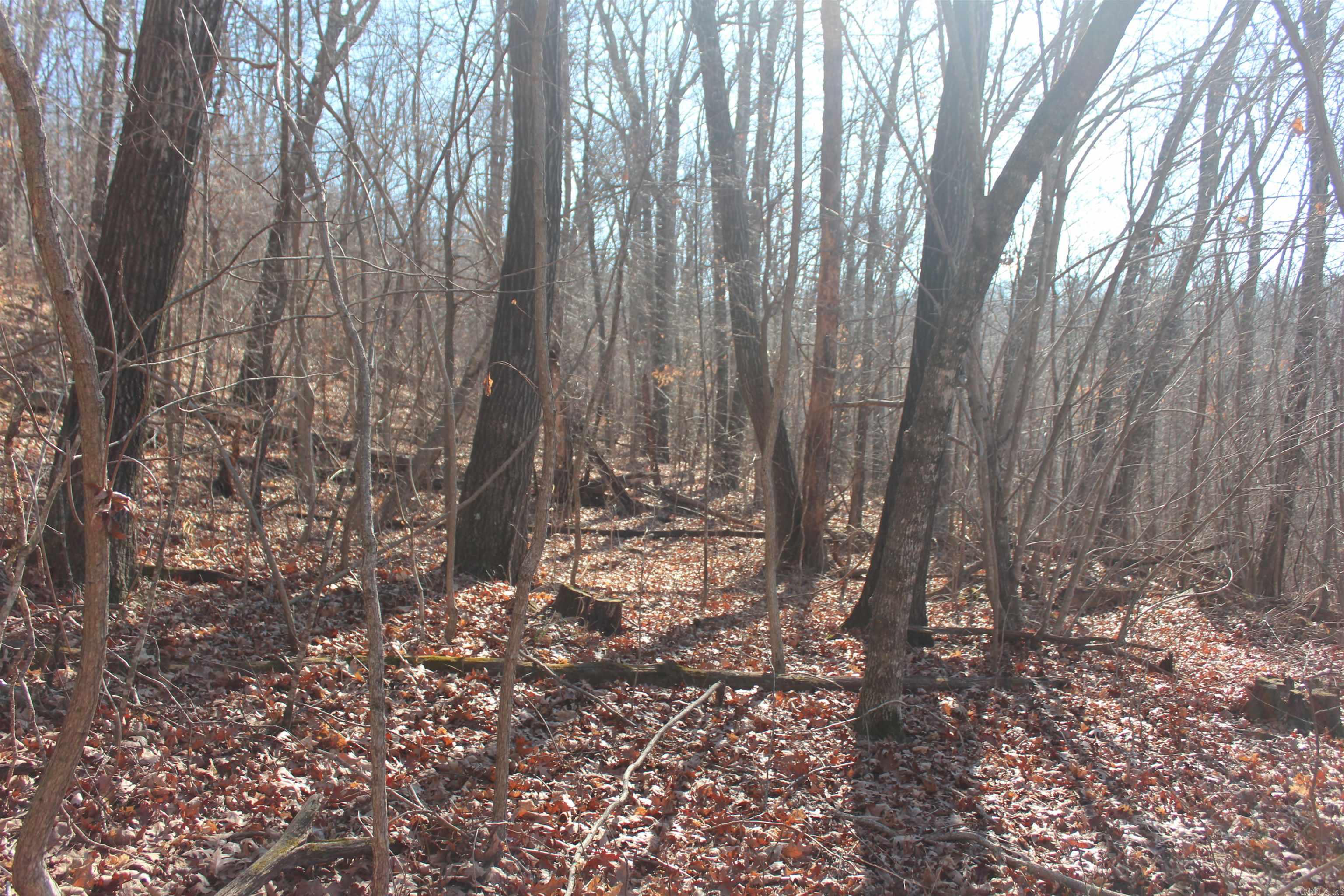 Not in Subdivision - Land