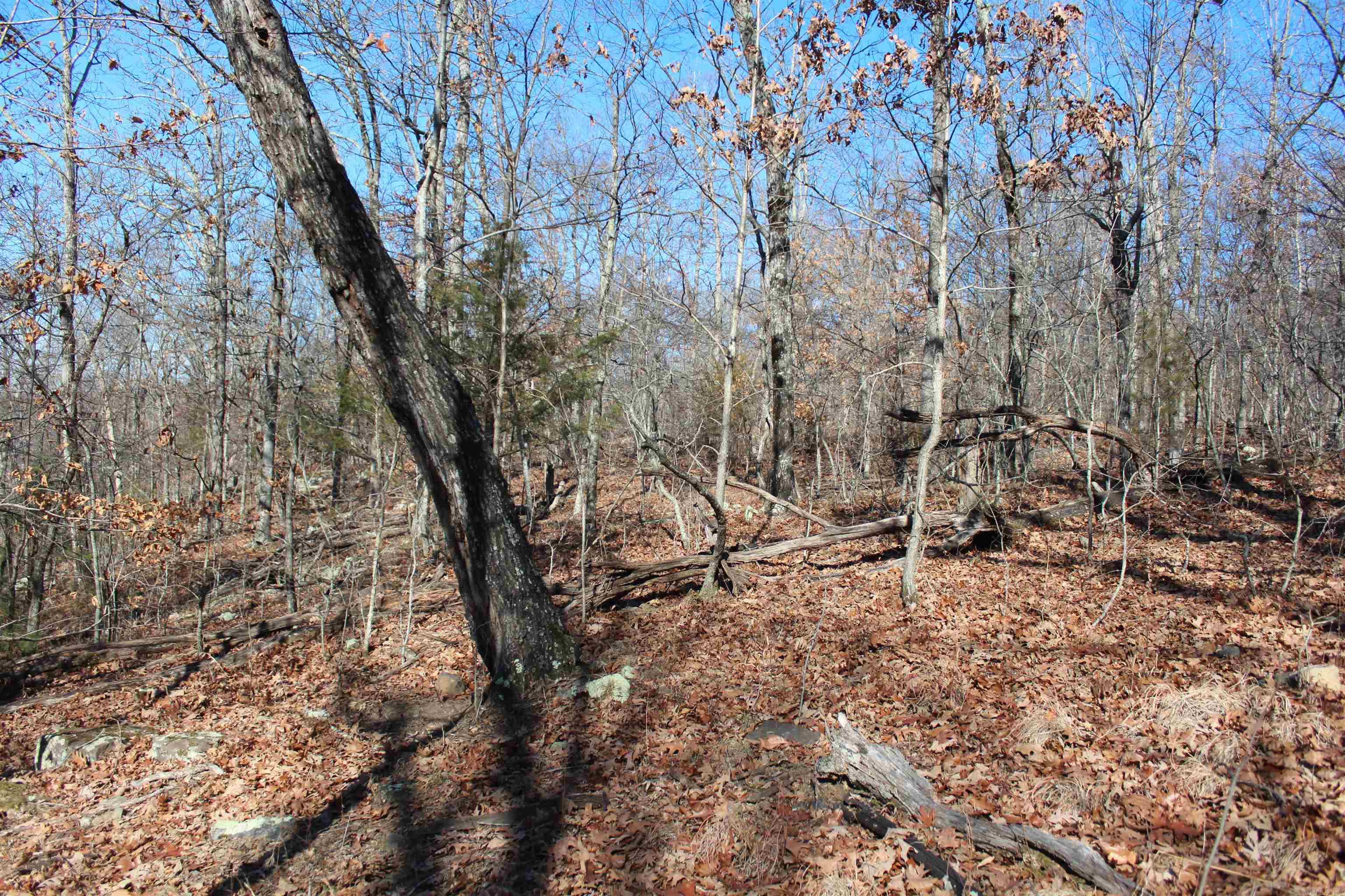 Not in Subdivision - Land