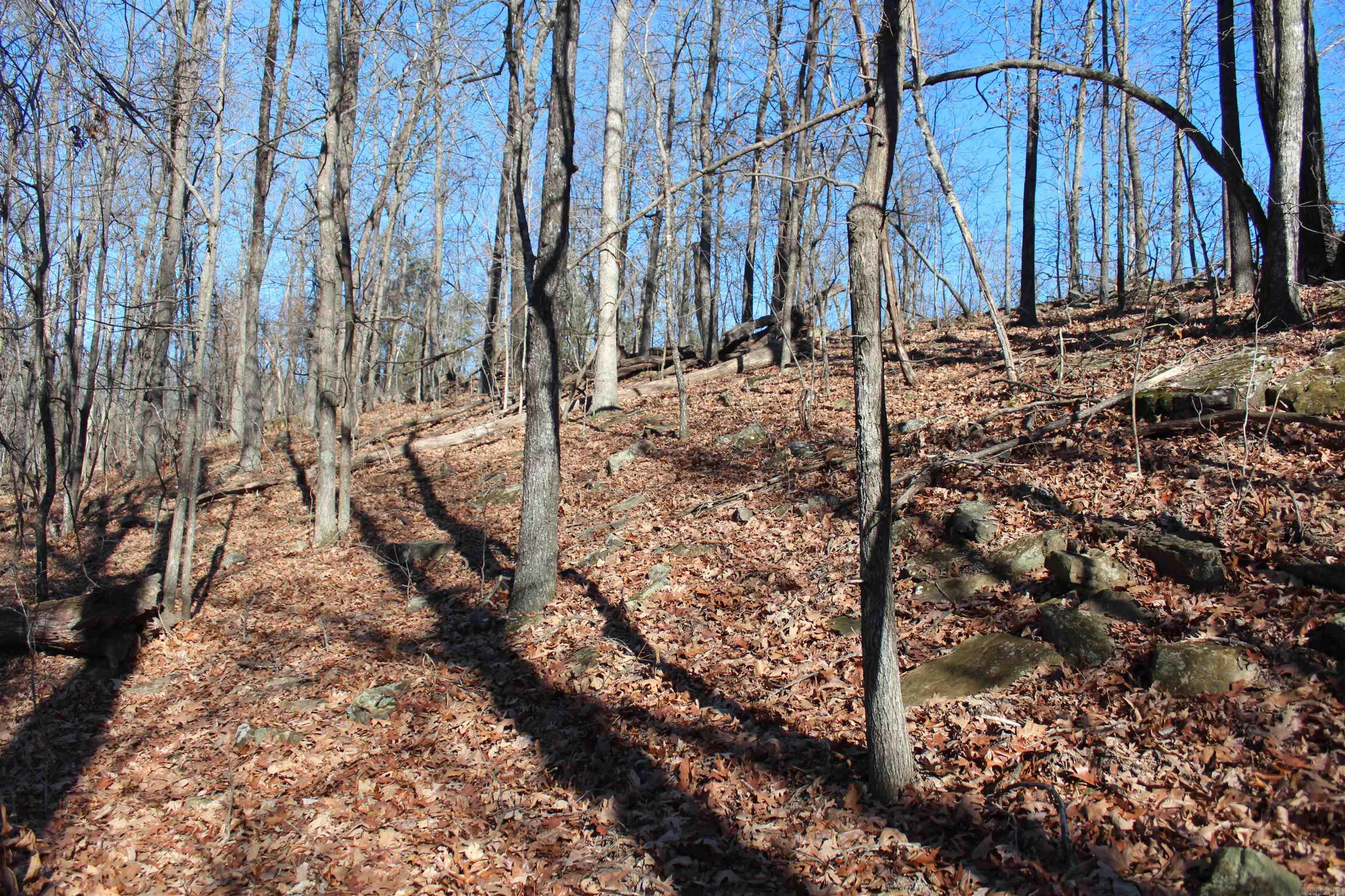 Not in Subdivision - Land