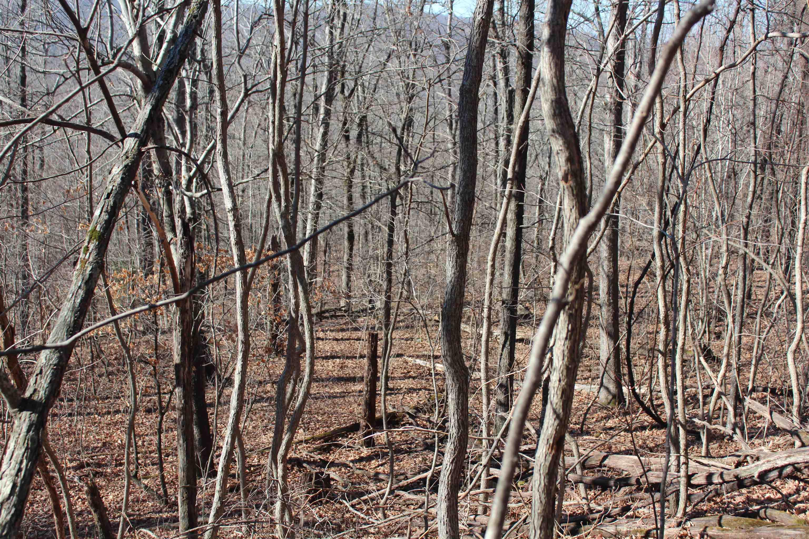 Not in Subdivision - Land