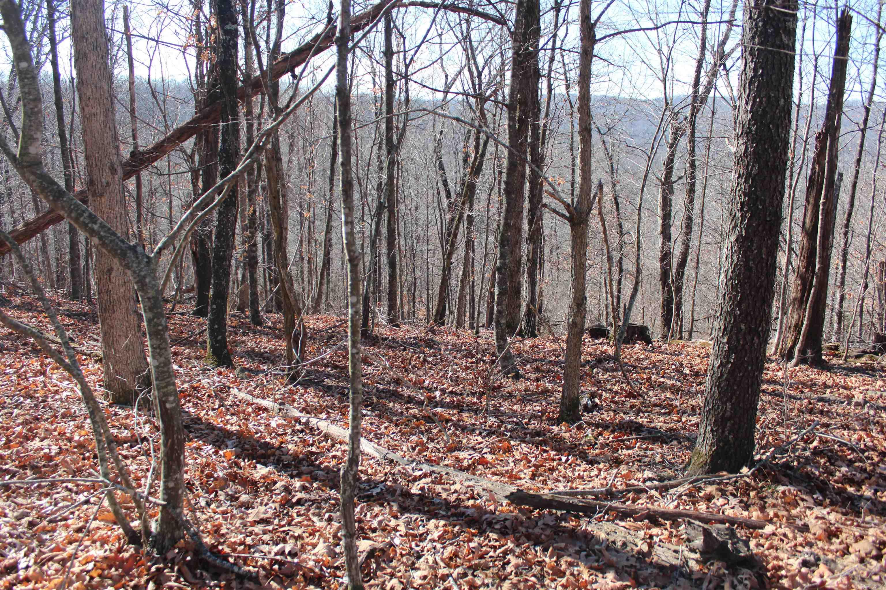 Not in Subdivision - Land