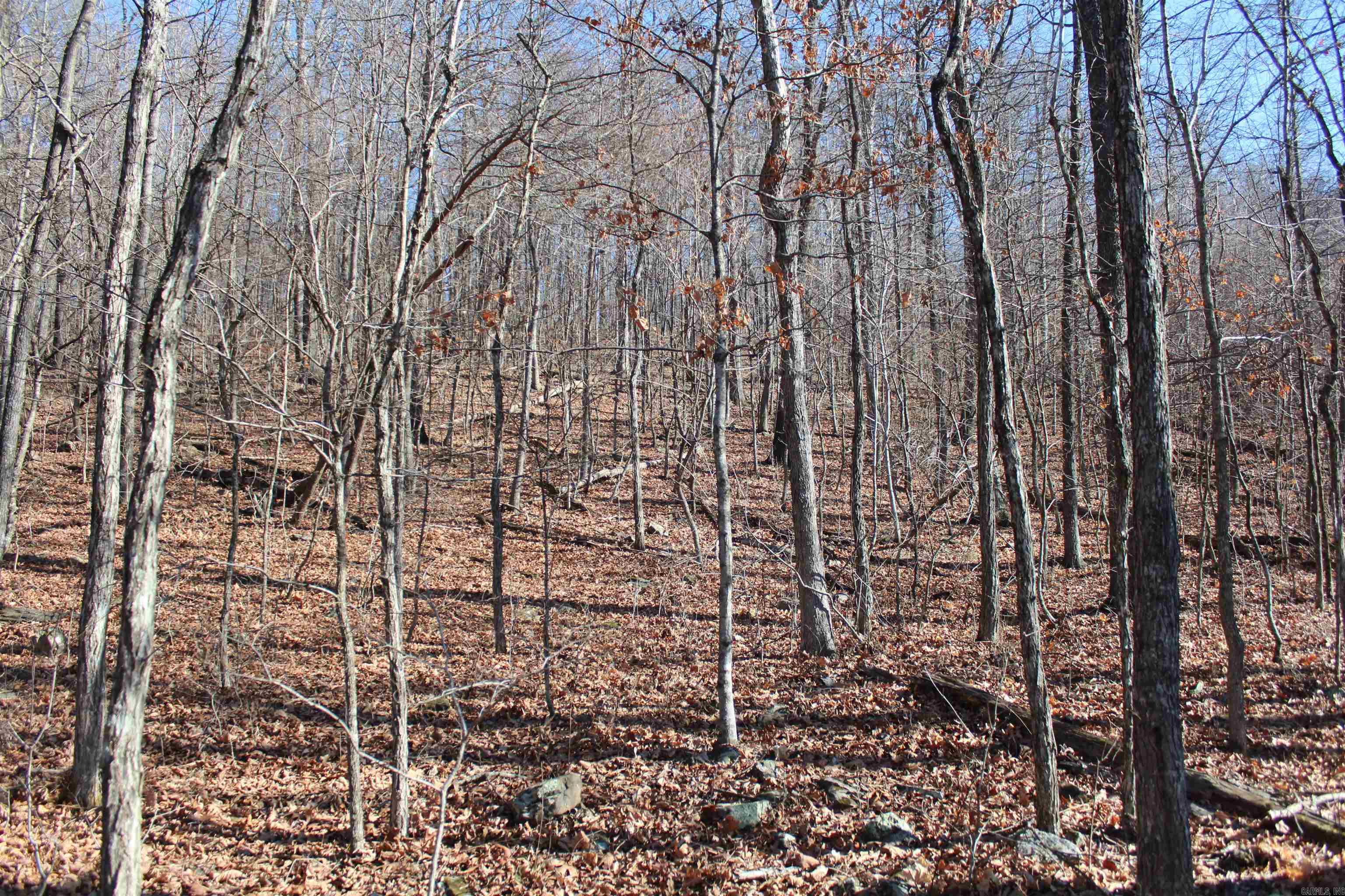 Not in Subdivision - Land