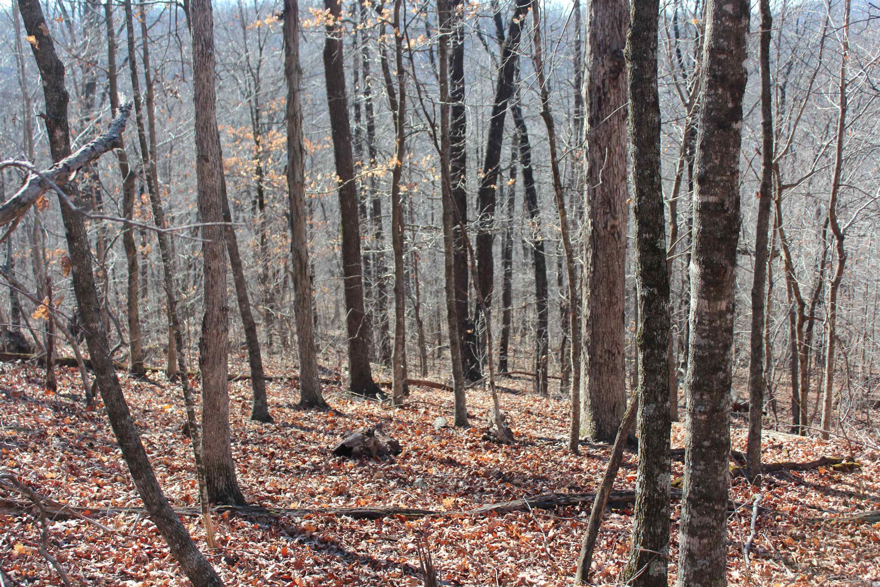 Not in Subdivision - Land