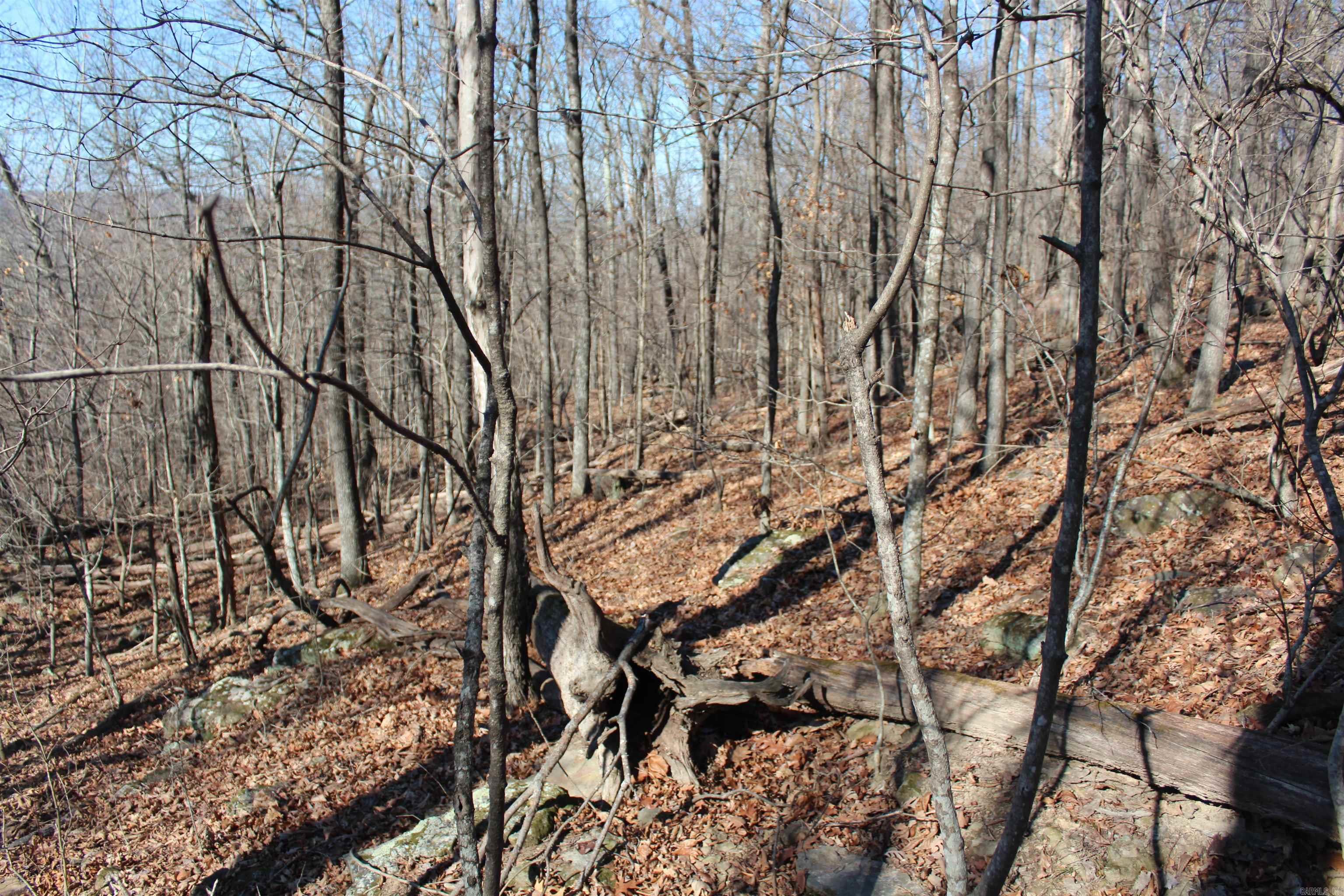 Not in Subdivision - Land