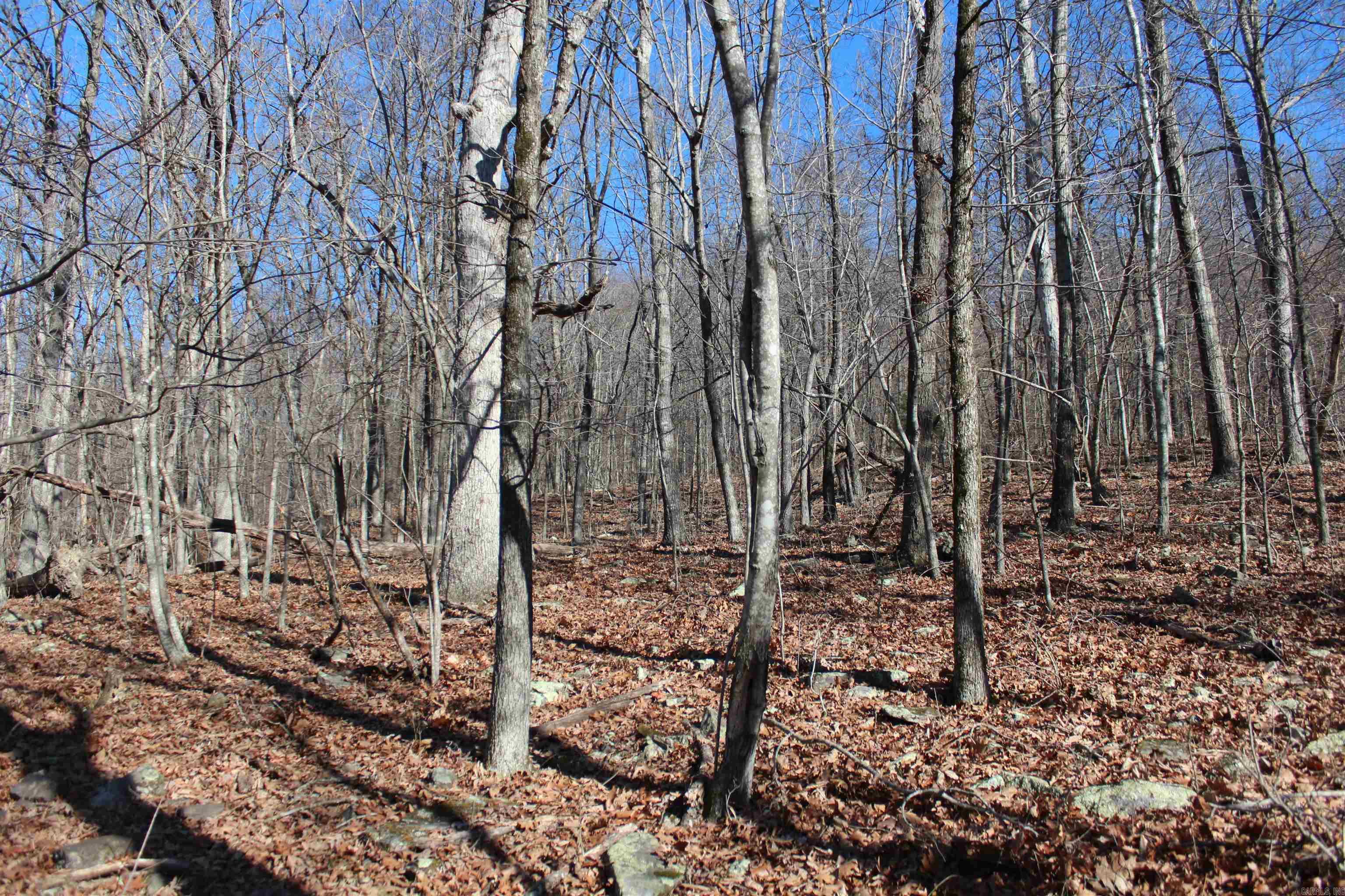 Not in Subdivision - Land