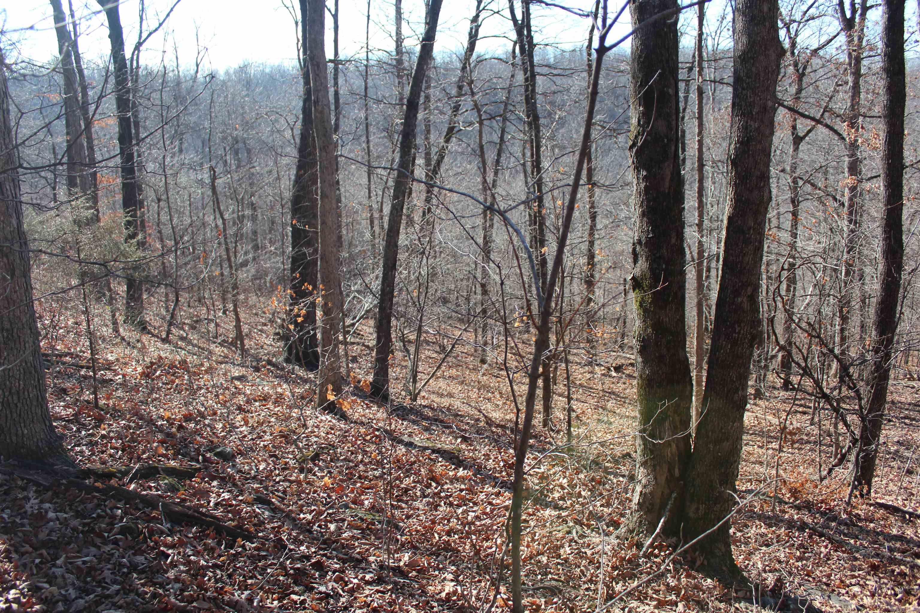 Not in Subdivision - Land