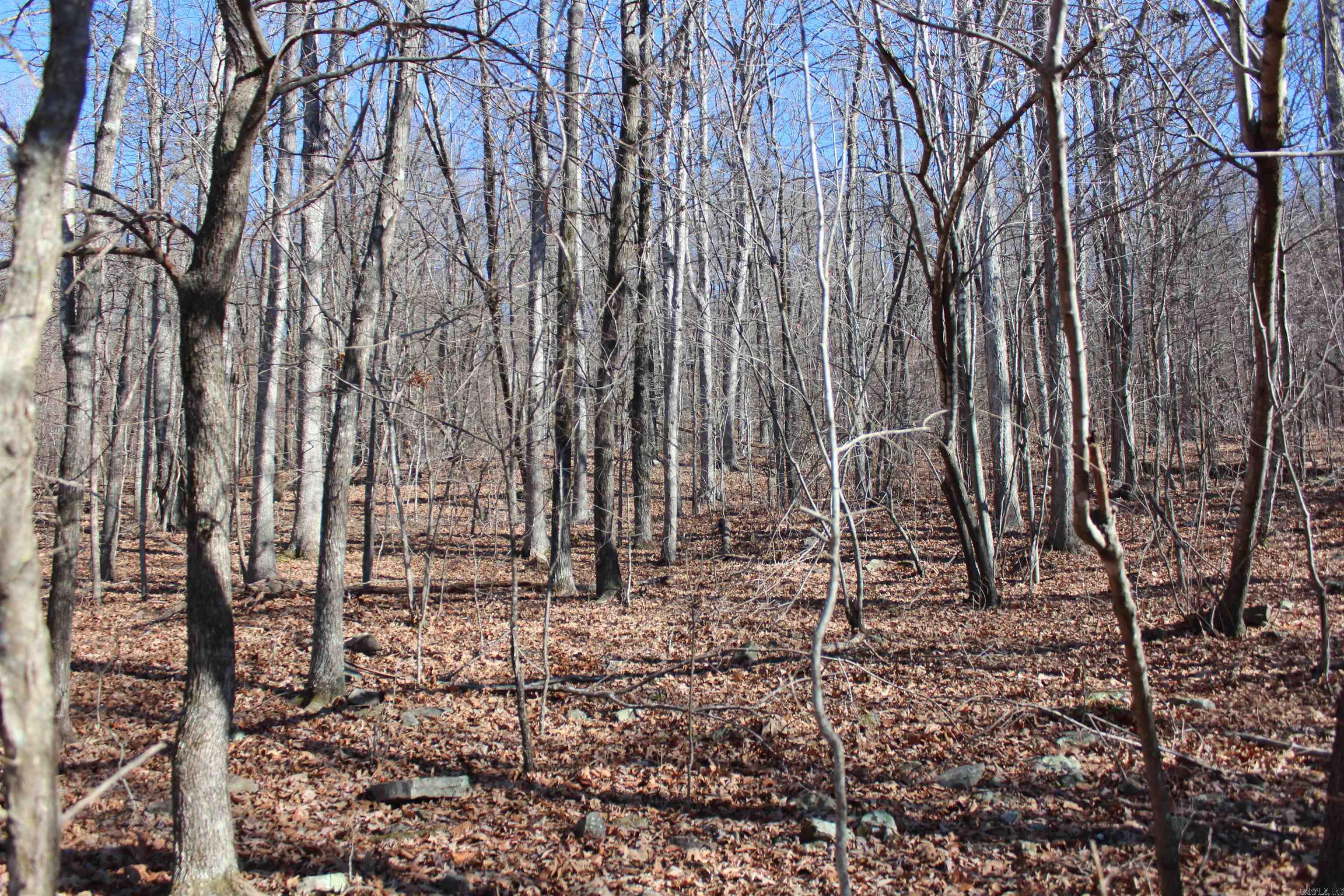 Not in Subdivision - Land