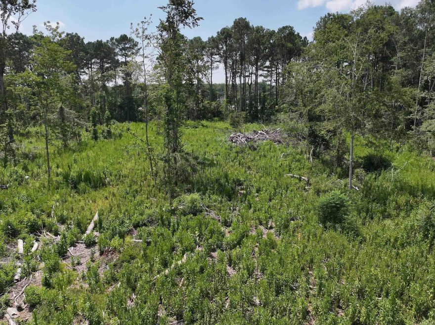 Discover the perfect blend of seclusion and convenience with this beautiful 10± acre property located on paved Kadoha Road, just outside the city limits of Murfreesboro. While bordering the city, this tract offers the atmosphere of rural living—without sacrificing access to modern amenities.  The land has been selectively thinned, preserving the natural timber while opening up ideal homesites. Utilities are available at the road, making this an excellent spot to build your dream home, a cozy weekend cabin, or a recreational retreat.  Nature lovers and adventure seekers will love the proximity to local attractions including the Little Missouri River, Crater of Diamonds State Park, Lake Greeson, and the historic Kadoha Indian Village.  For added flexibility, the property is listed three ways in the MLS—available as two 10± acre tracts or the full 20± acres. MLS #'s 25031122 & 25031124  Don’t miss this rare opportunity to own a slice of Arkansas paradise—serene, scenic, and perfectly located.