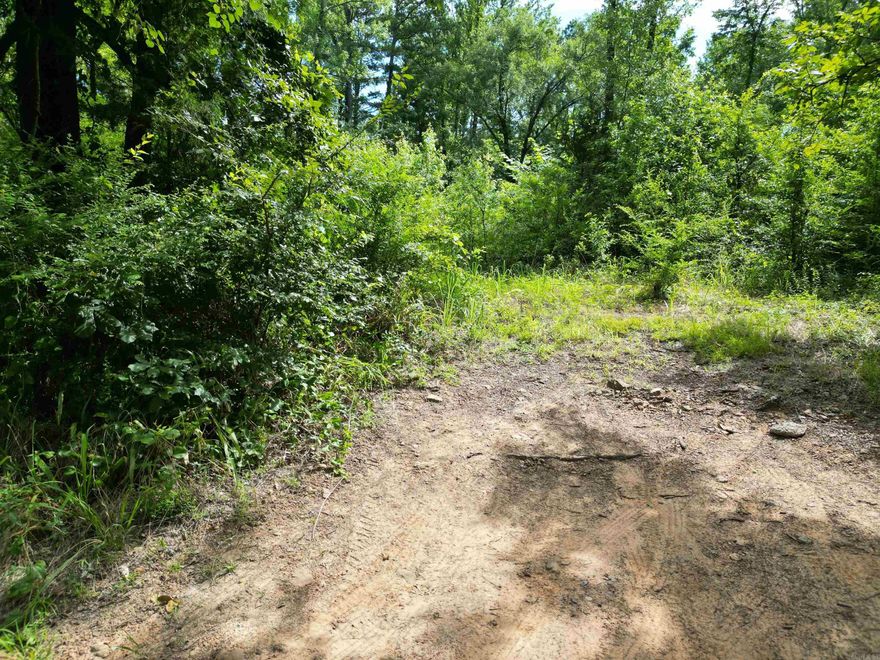 Hard to find no restrictions ! Nearly 1 Acre property with public water, power and possibly a useable septic . North of Dover