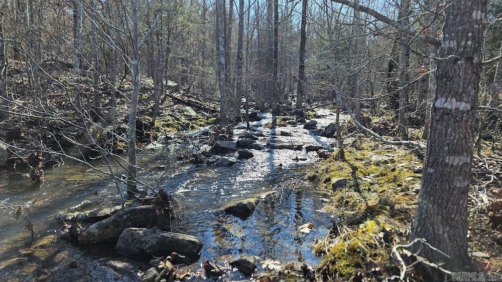 This secluded property offers excellent hunting, diverse topography, and scenic rock formations, plus an all-season creek. Located less than 3/4 mile from a gravel county road with deeded easement, it has access to rural water and electricity. A newly built access road is suitable for any 4x4 vehicle. The land is surrounded by dense vegetation and timber, with the creek meandering through two parts of the property, providing water for wildlife and a tranquil setting. Game trails, oak flats, and cedar thickets offer prime hunting spots. With a mix of red oak, white oak, post oak, and hickory, the property offers various building sites, perfect for a dream cabin. Secluded yet close to Batesville, AR, and the White River, this property combines privacy and convenience. Rarely does such a unique tract come available at this price.