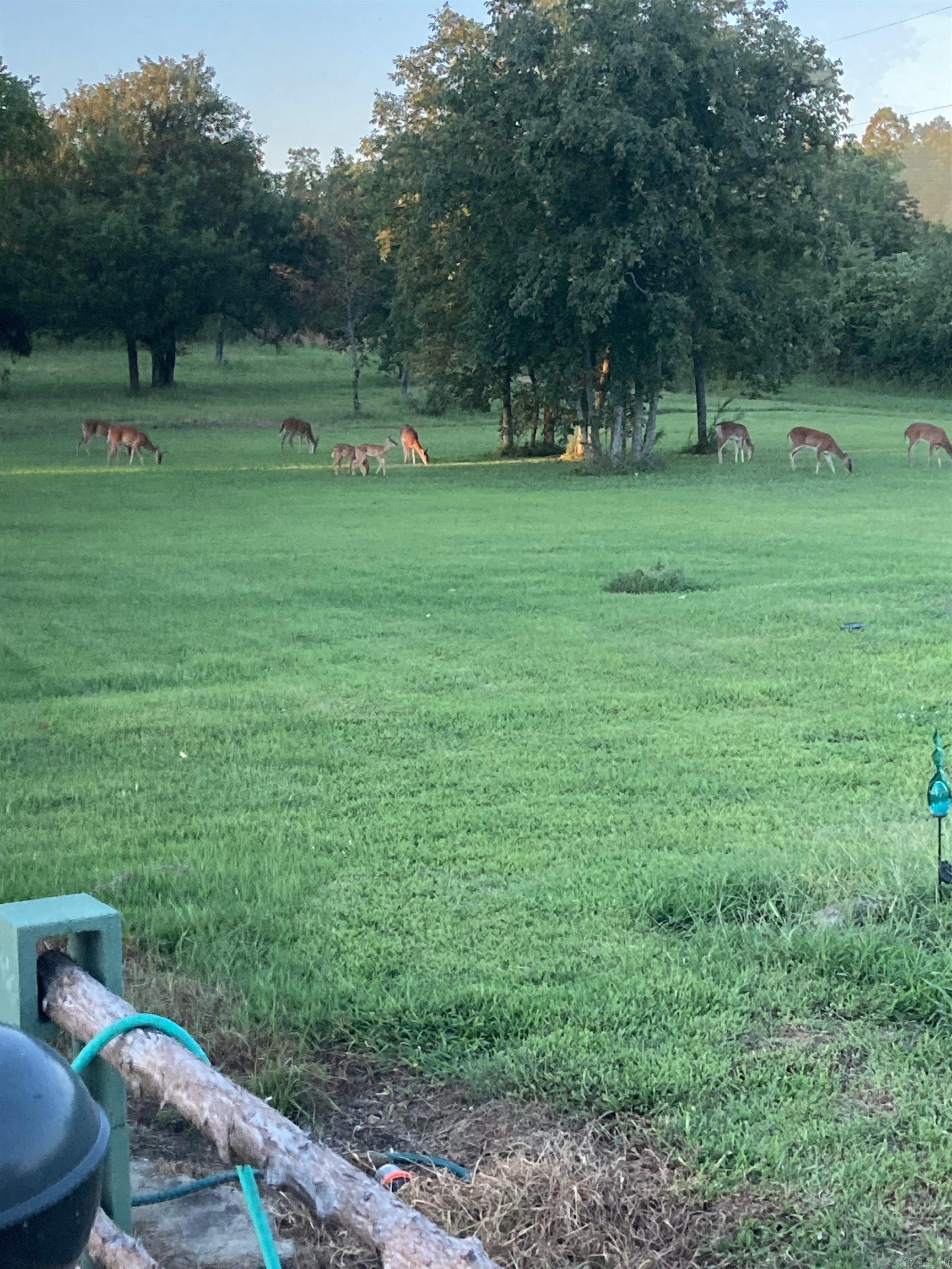 Metes & Bounds - Farm