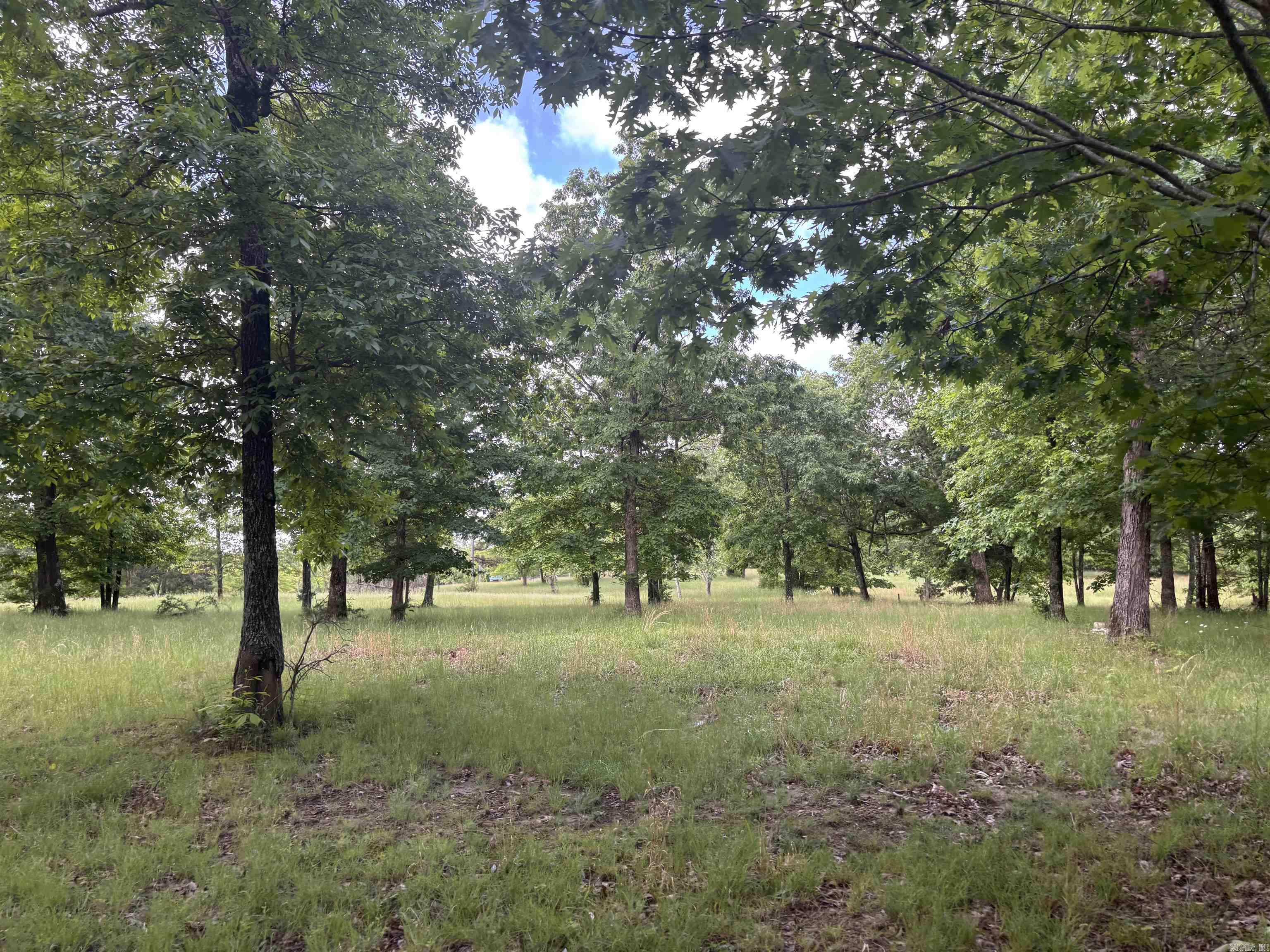 Metes & Bounds - Farm