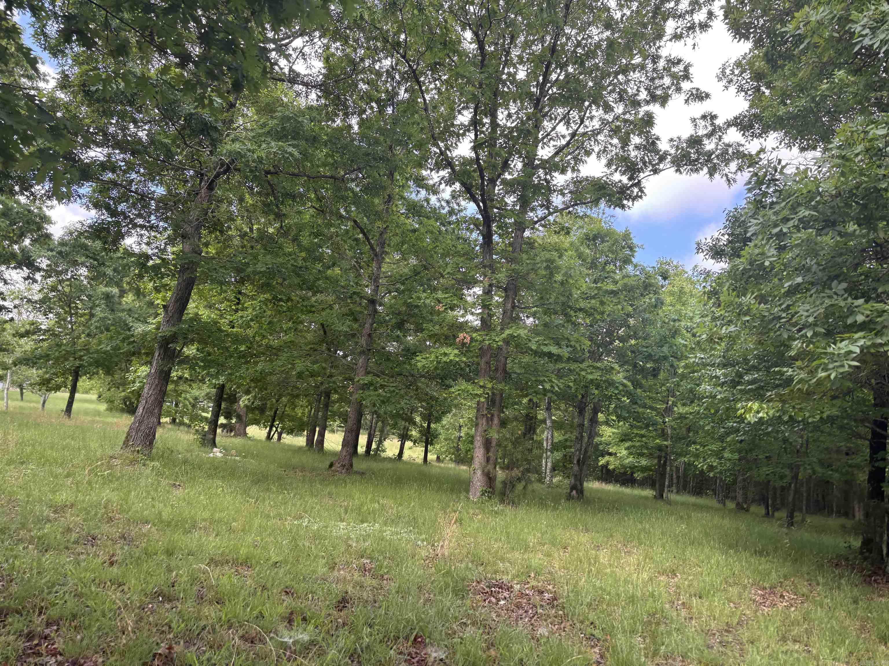 Metes & Bounds - Farm