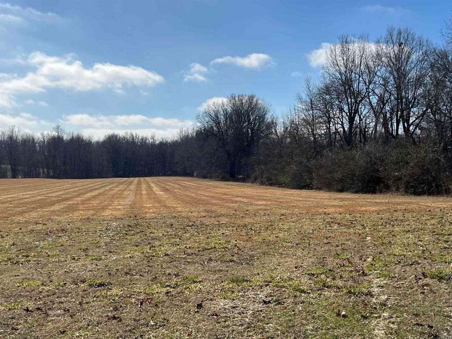 This beautiful 7.14 acres would be a great place to build a home. You would be walking distance from Heritage Park and have all the country living without being out of town. The trees lining the property give you privacy and that country feel. Contact me today to see this amazing property.