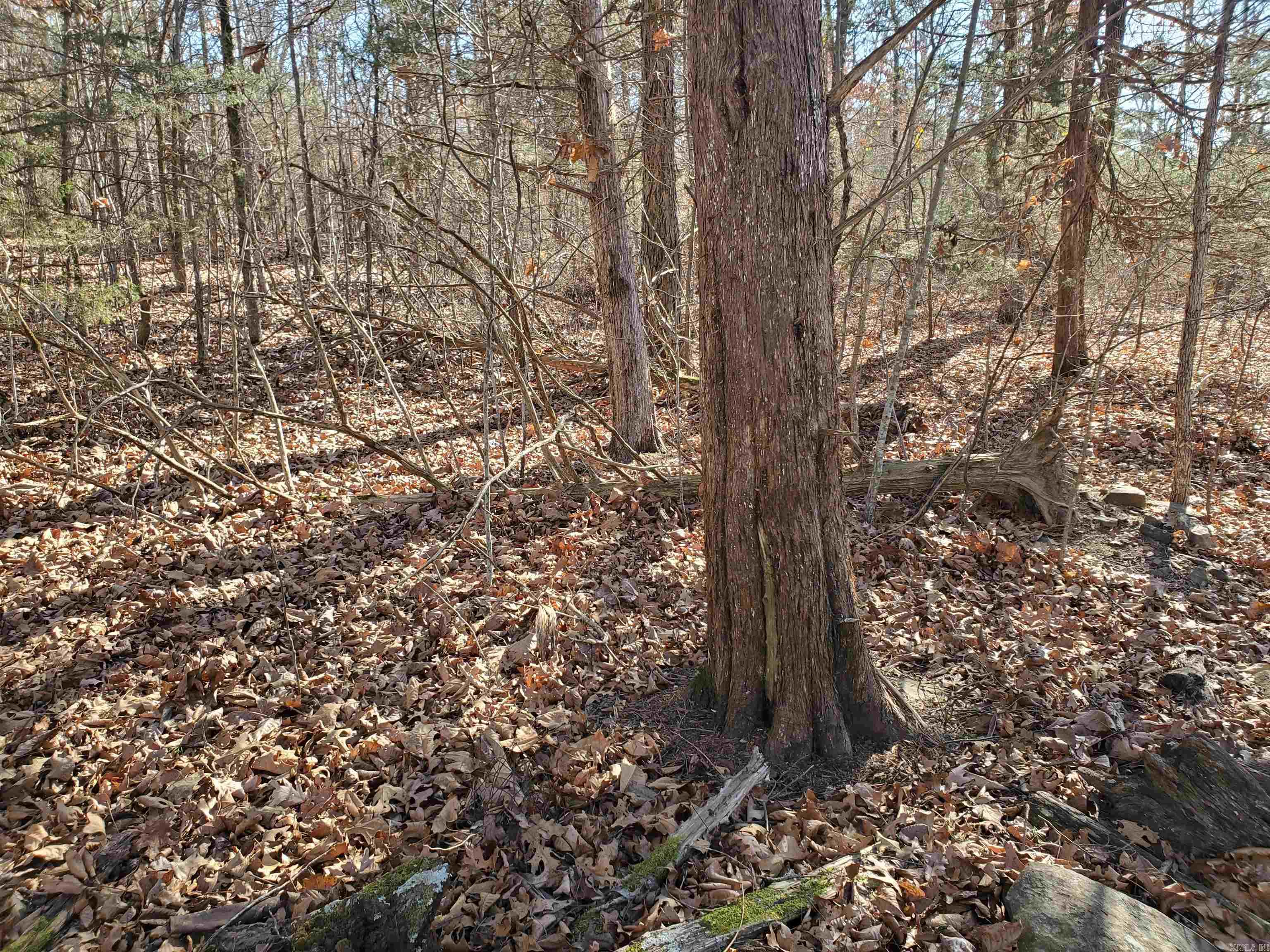 Metes & Bounds - Land